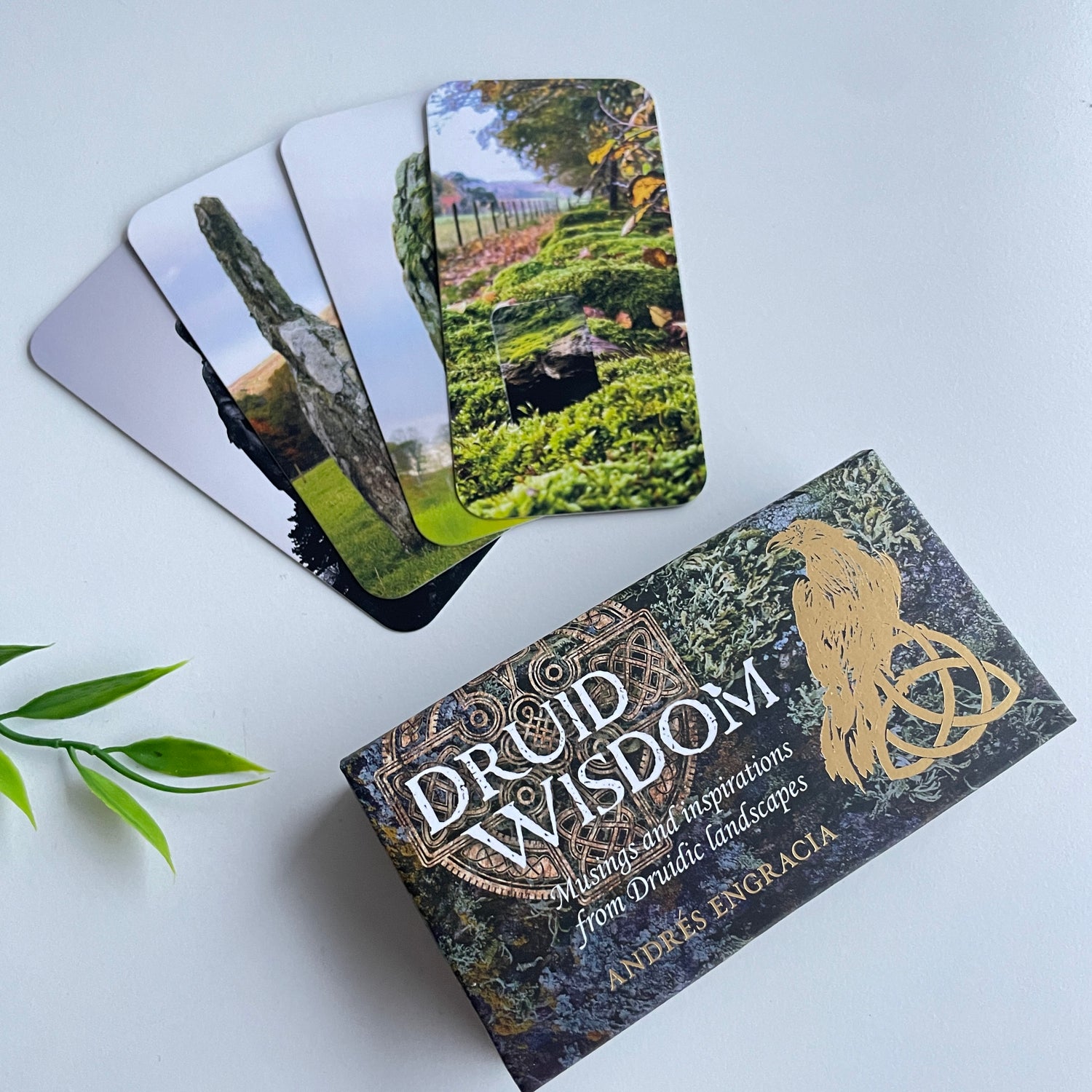 Druid Wisdom Cards Andres Engracia