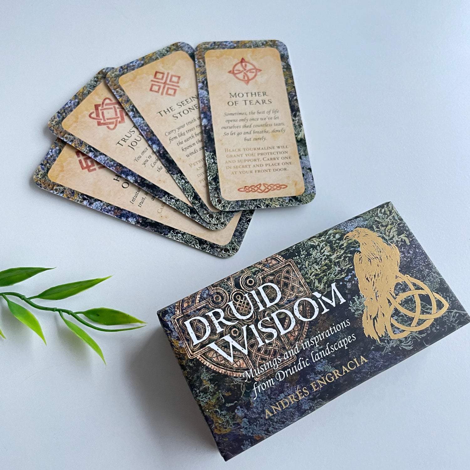 Druid Wisdom Cards Andres Engracia