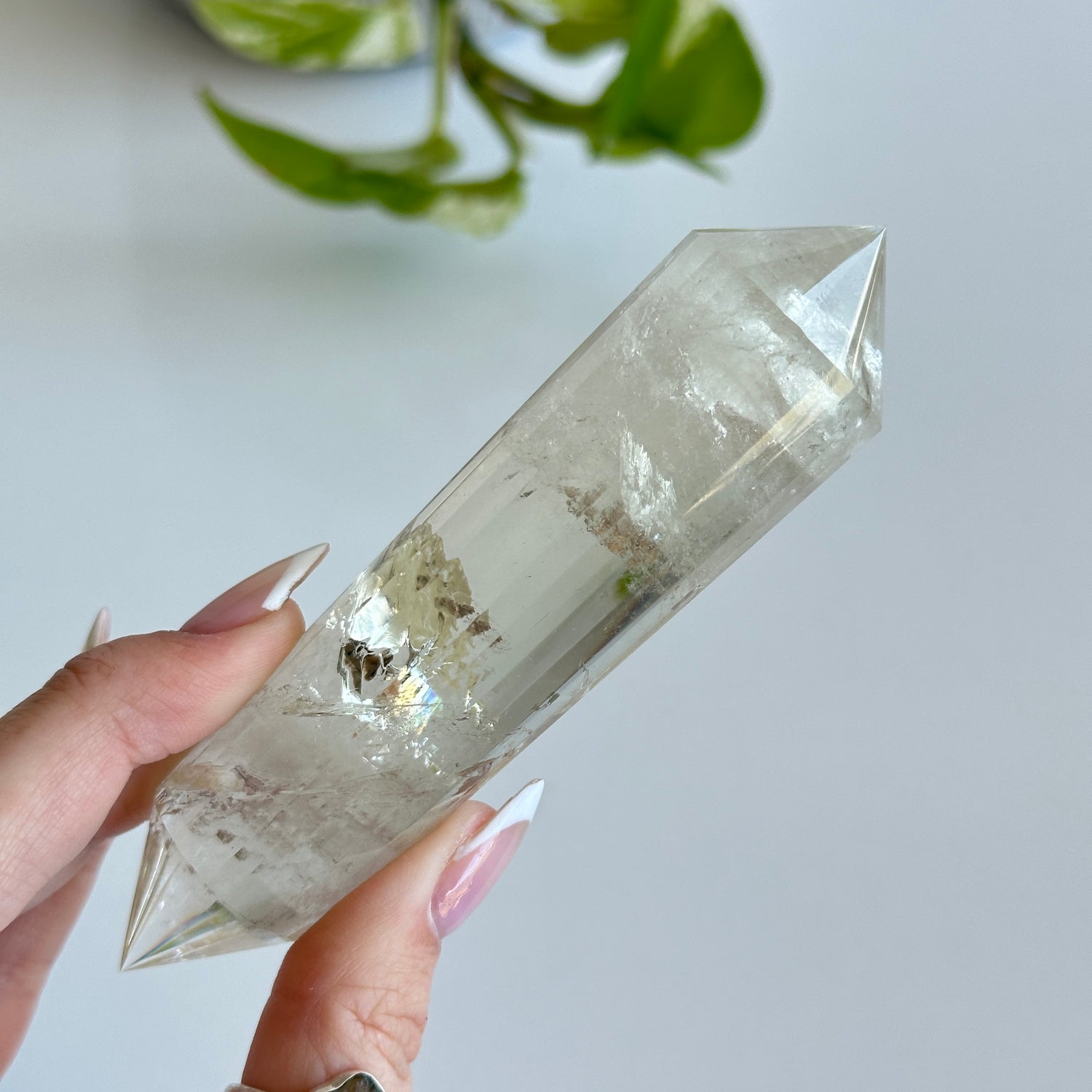 Citrine Vogel 11.7cm