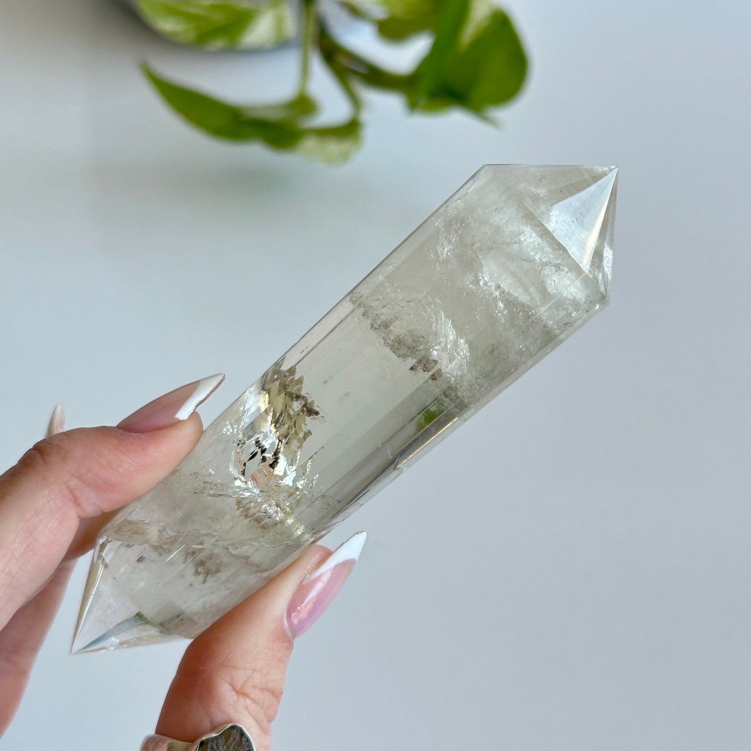 Citrine Vogel 11.7cm