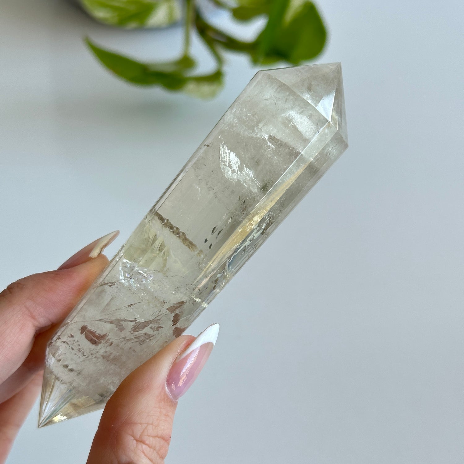 Citrine Vogel 11.7cm