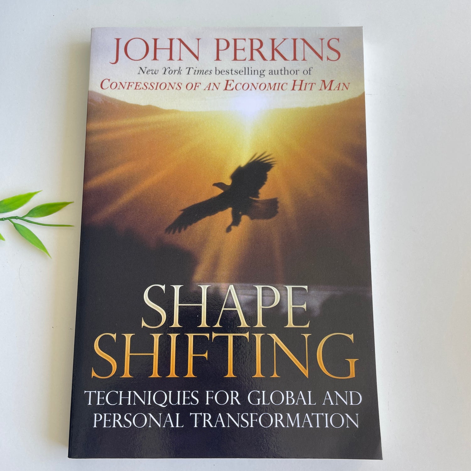Shape Shifting John Perkins