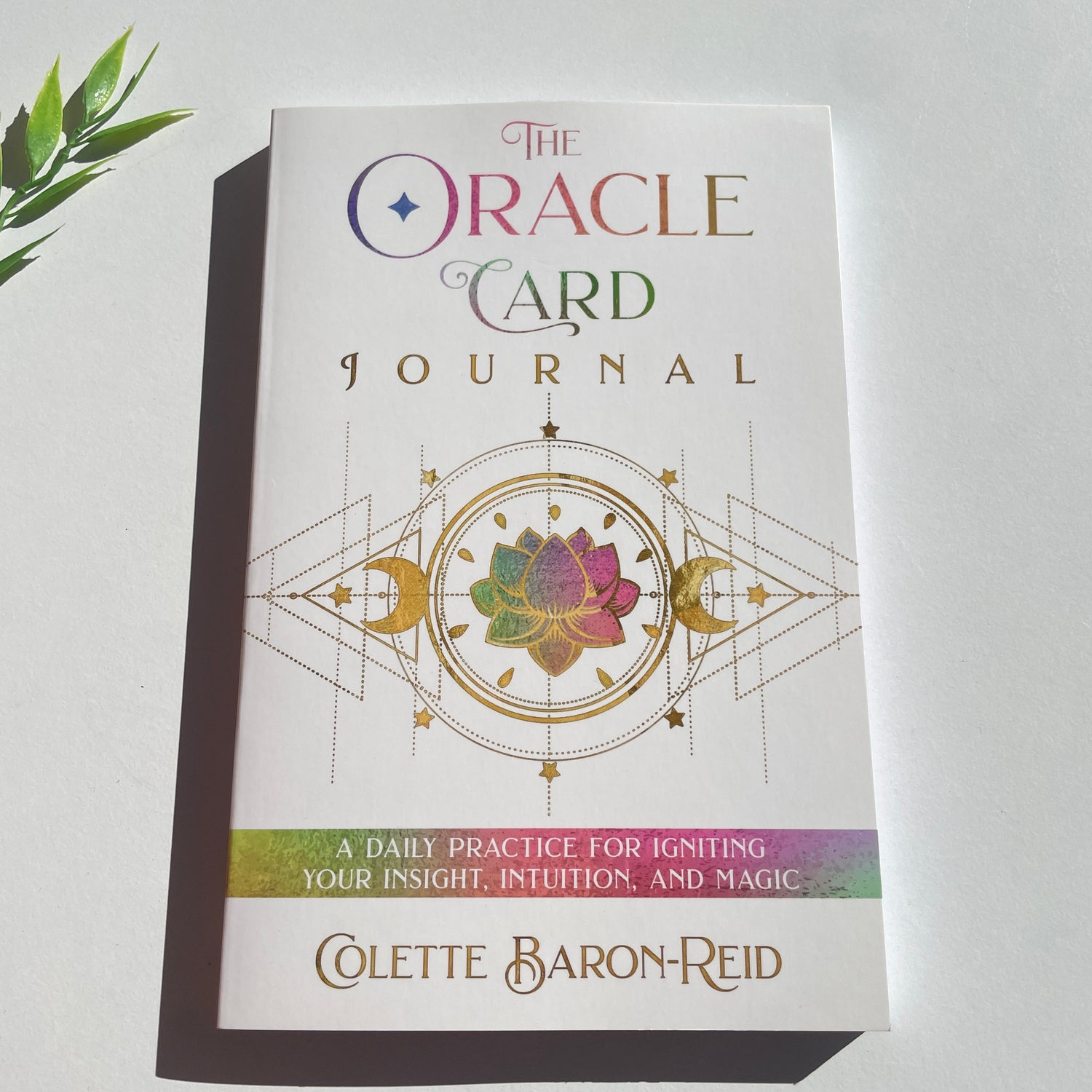 The Oracle Card Journal Collette Baron Reid