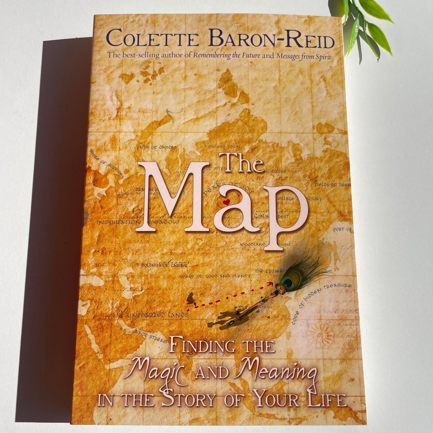 The Map Colette Baron Reid