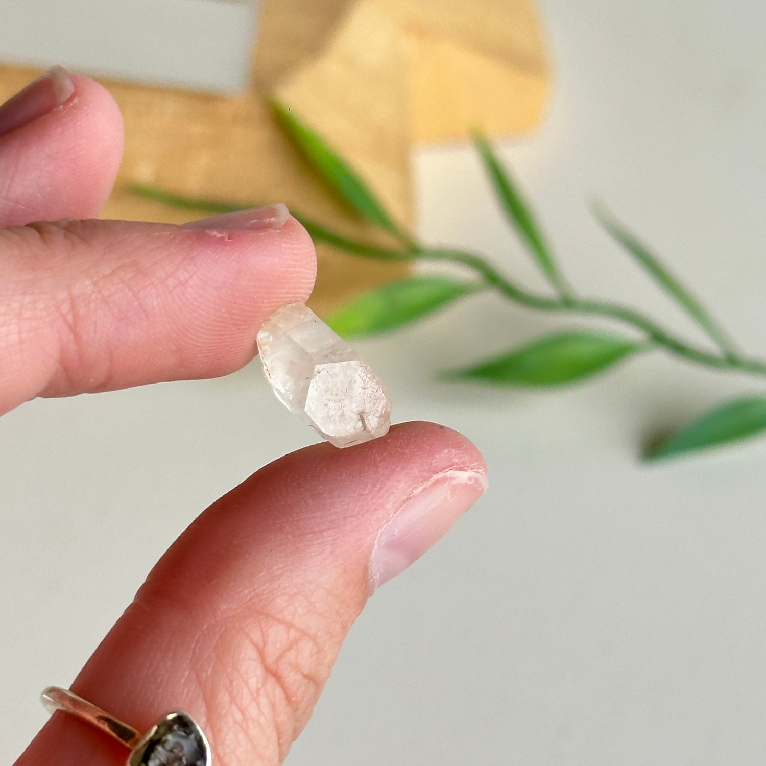 Phenakite Pce 1.01g