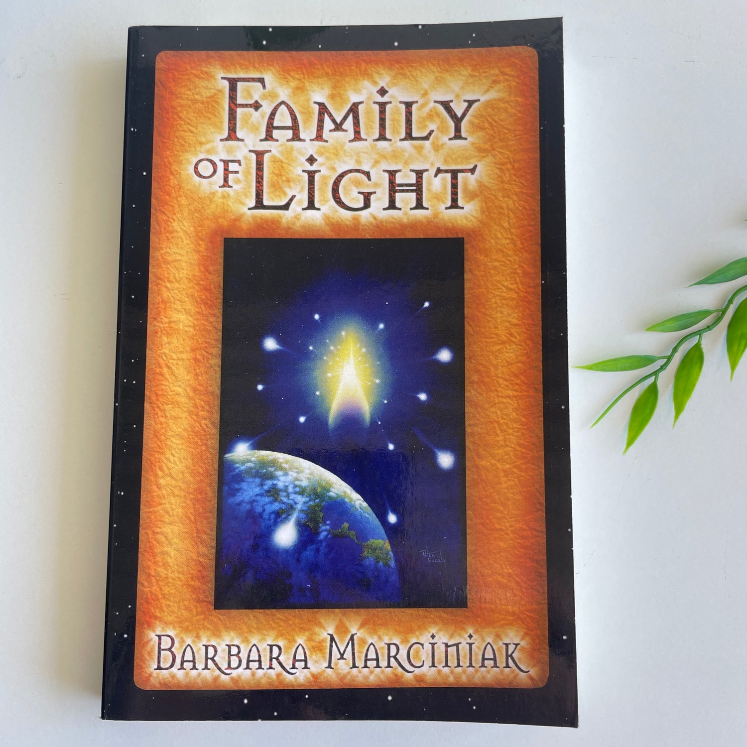 Family Of Light Barbara Marciniak