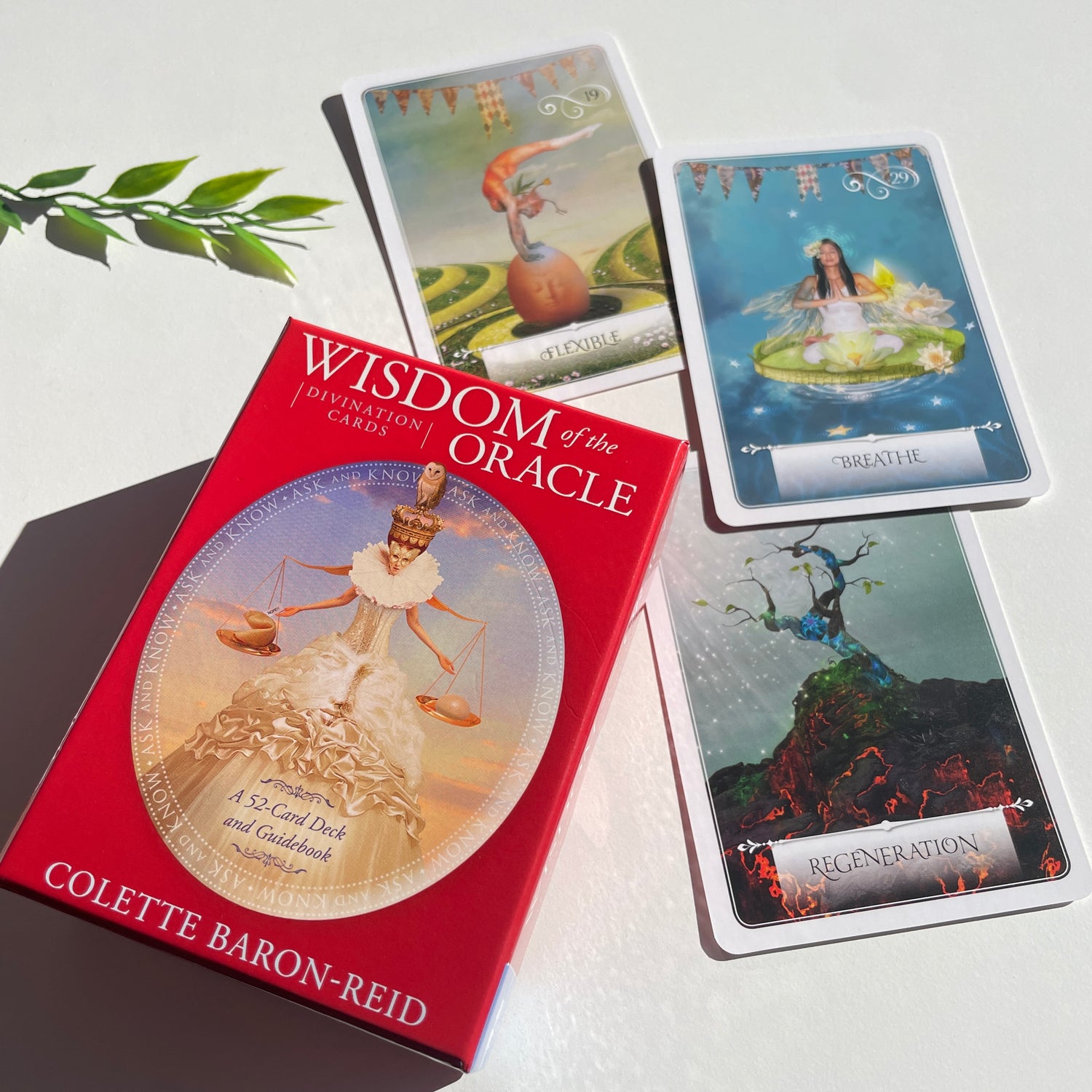 Wisdom Of The Oracle Colette Baron-Reid
