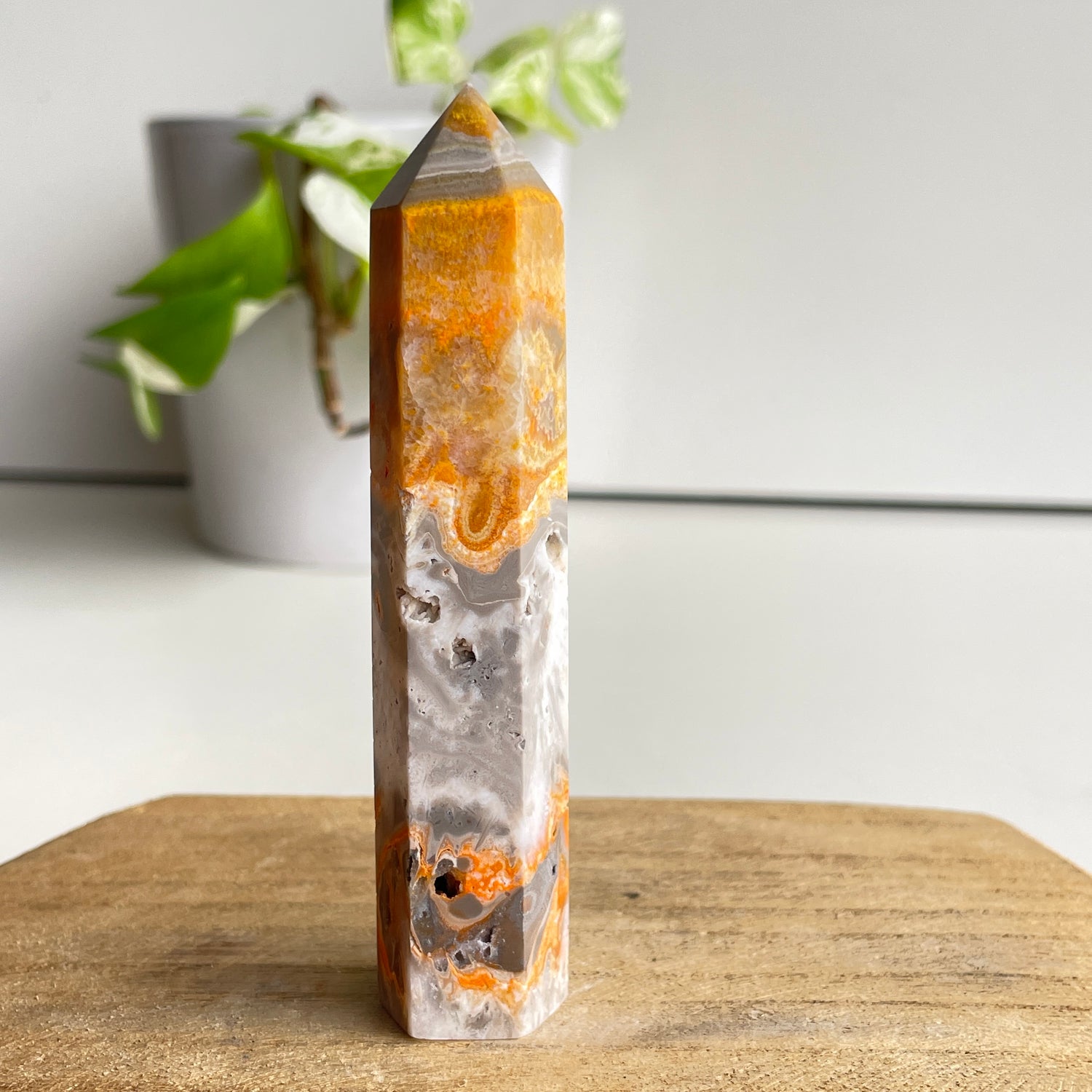 Bumblebee Jasper Generator 10.1cm
