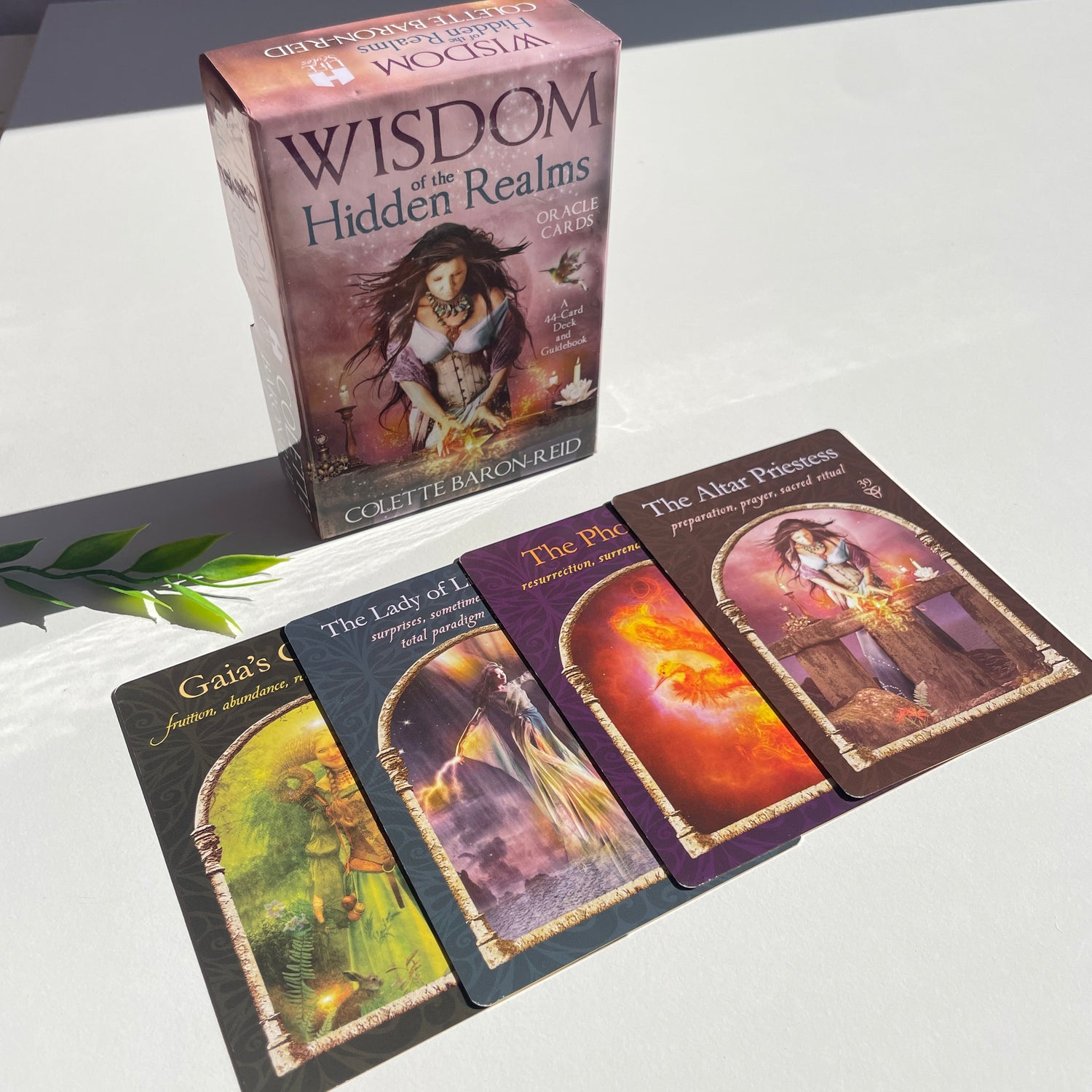 Wisdom of the Hidden Realms