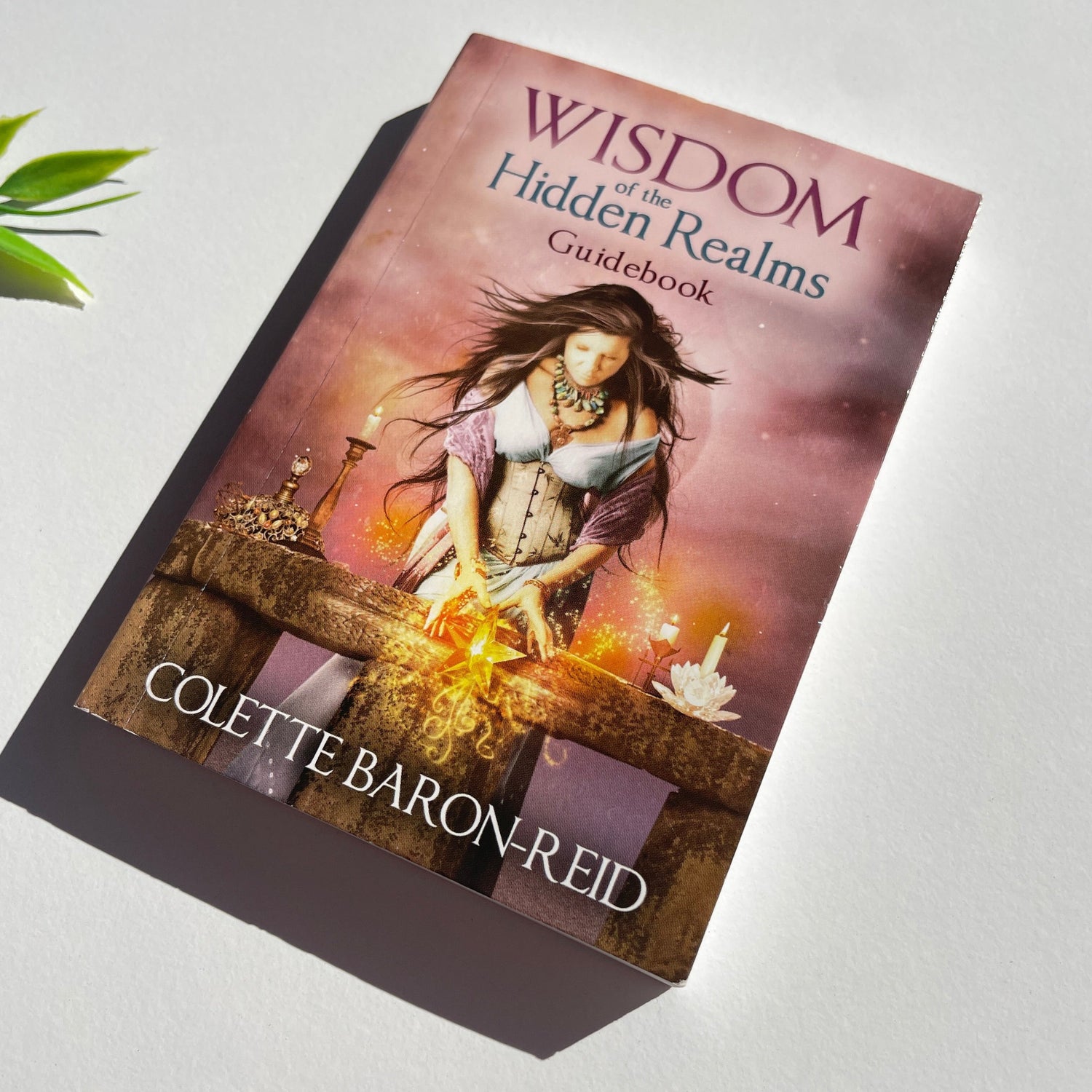 Wisdom of the Hidden Realms