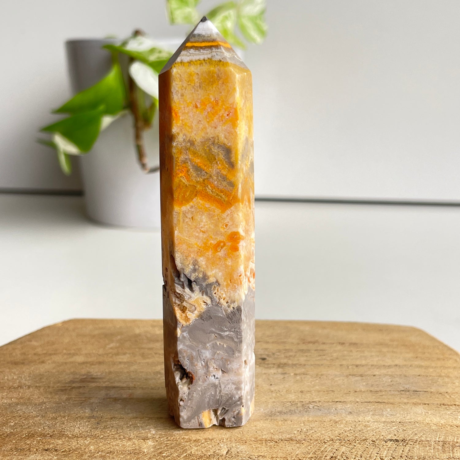 Bumblebee Jasper Generator 10.1cm