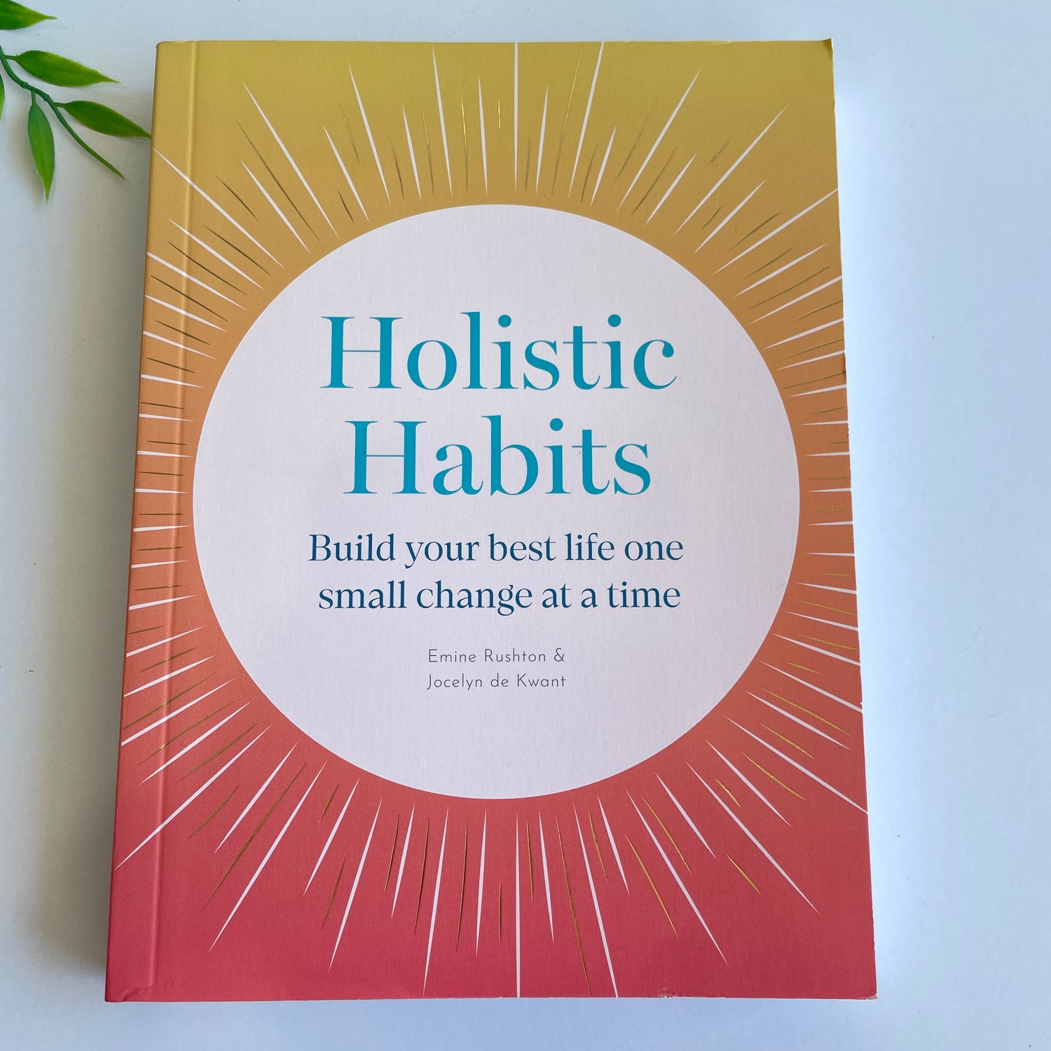 Holistic Habits Emine Rushton
