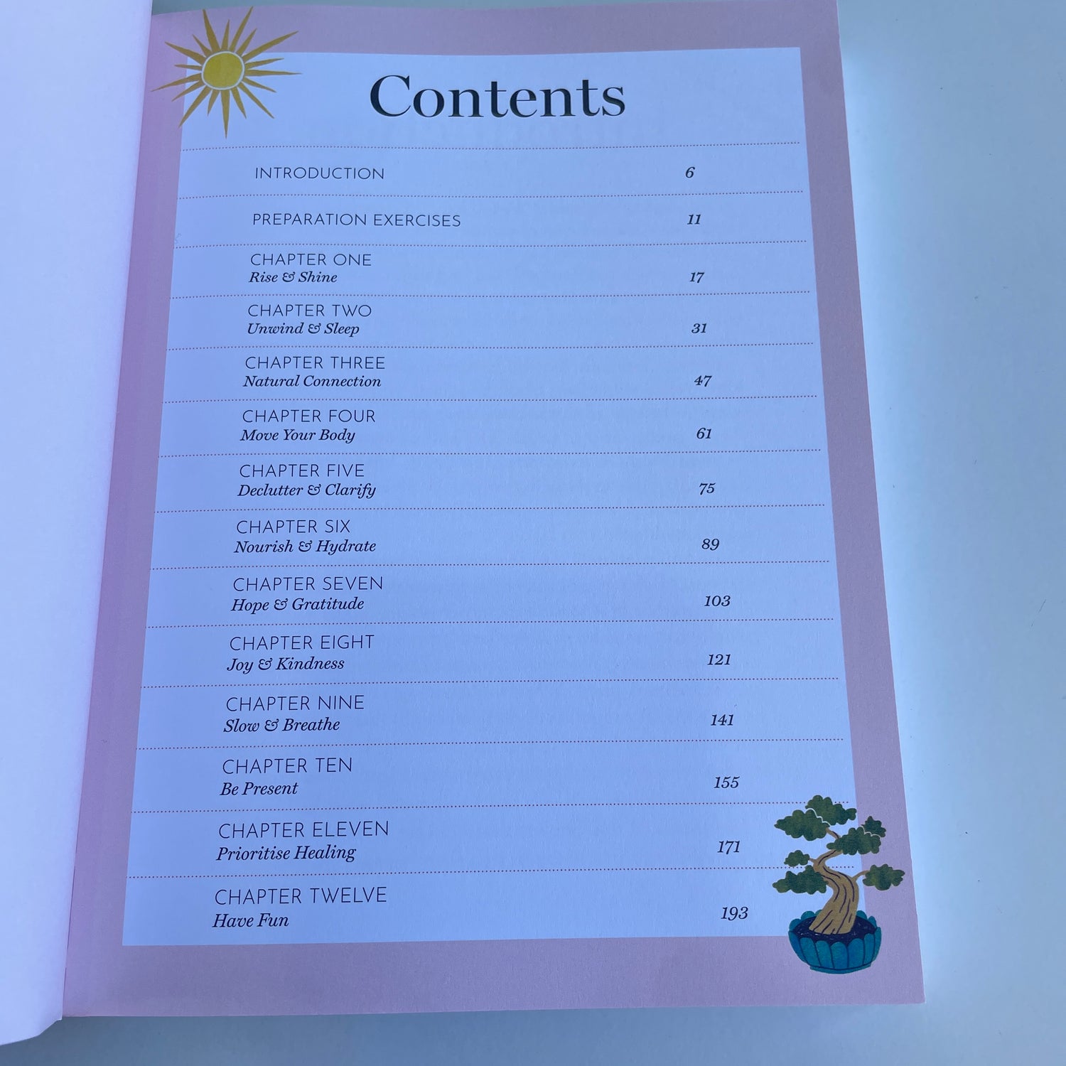 Holistic Habits Emine Rushton
