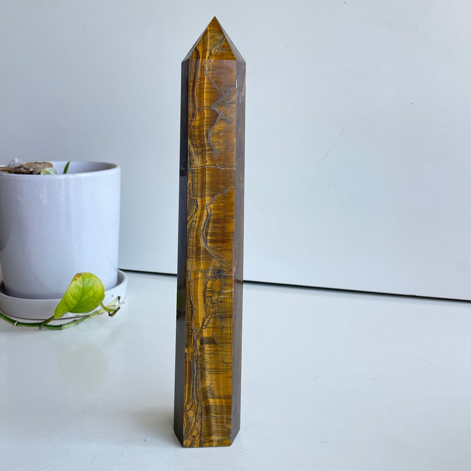 Tigers Eye Generator 27.7cm