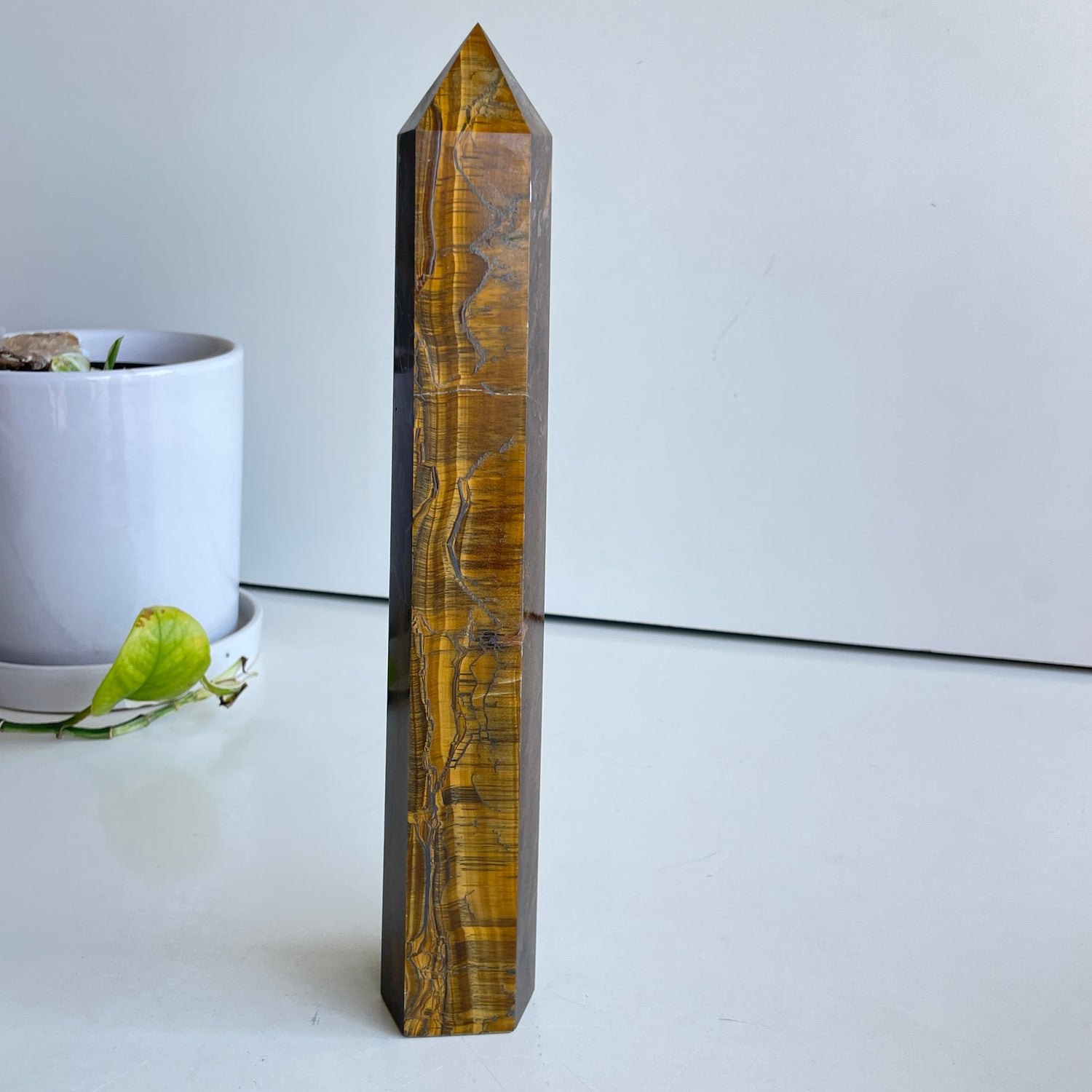 Tigers Eye Generator 27.7cm