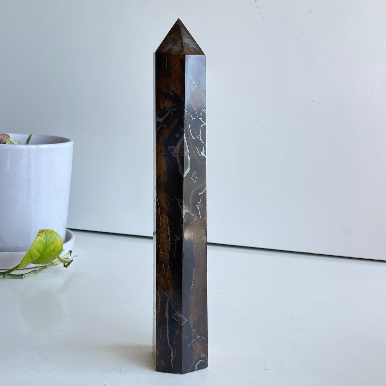 Tigers Eye Generator 27.7cm