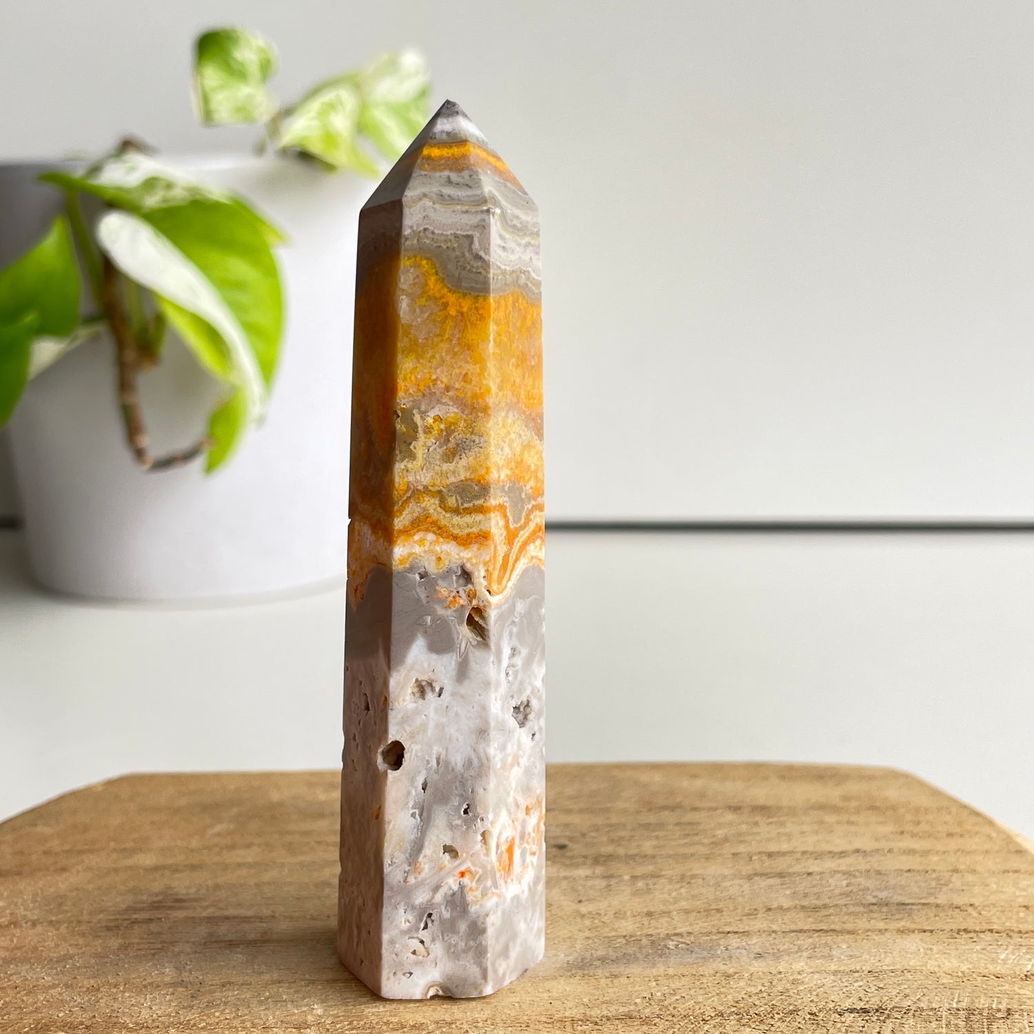 Bumblebee Jasper Generator 9.9cm