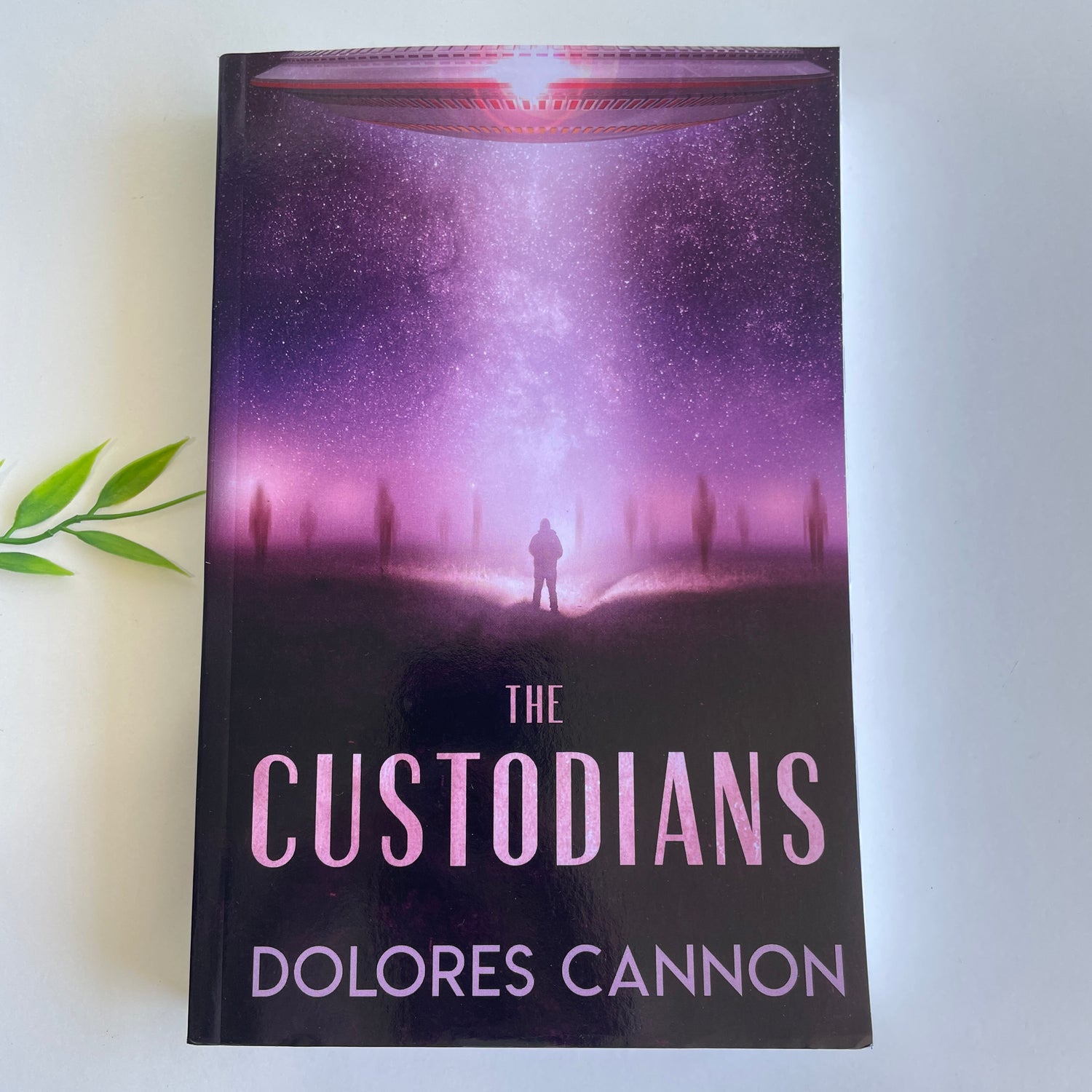 Custodians Beyond Abduction Dolores Cannon