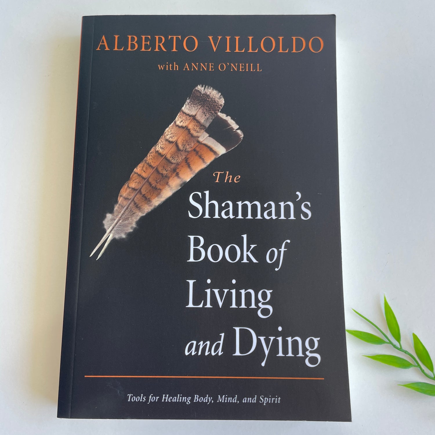 The Shamans Book Of Living And Dying Alberto Villoldo