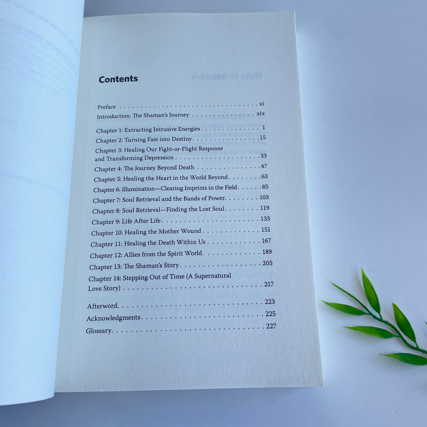 The Shamans Book Of Living And Dying Alberto Villoldo