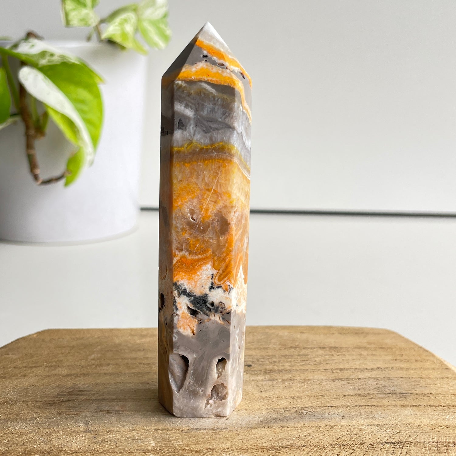 Bumblebee Jasper Generator 10.4cm