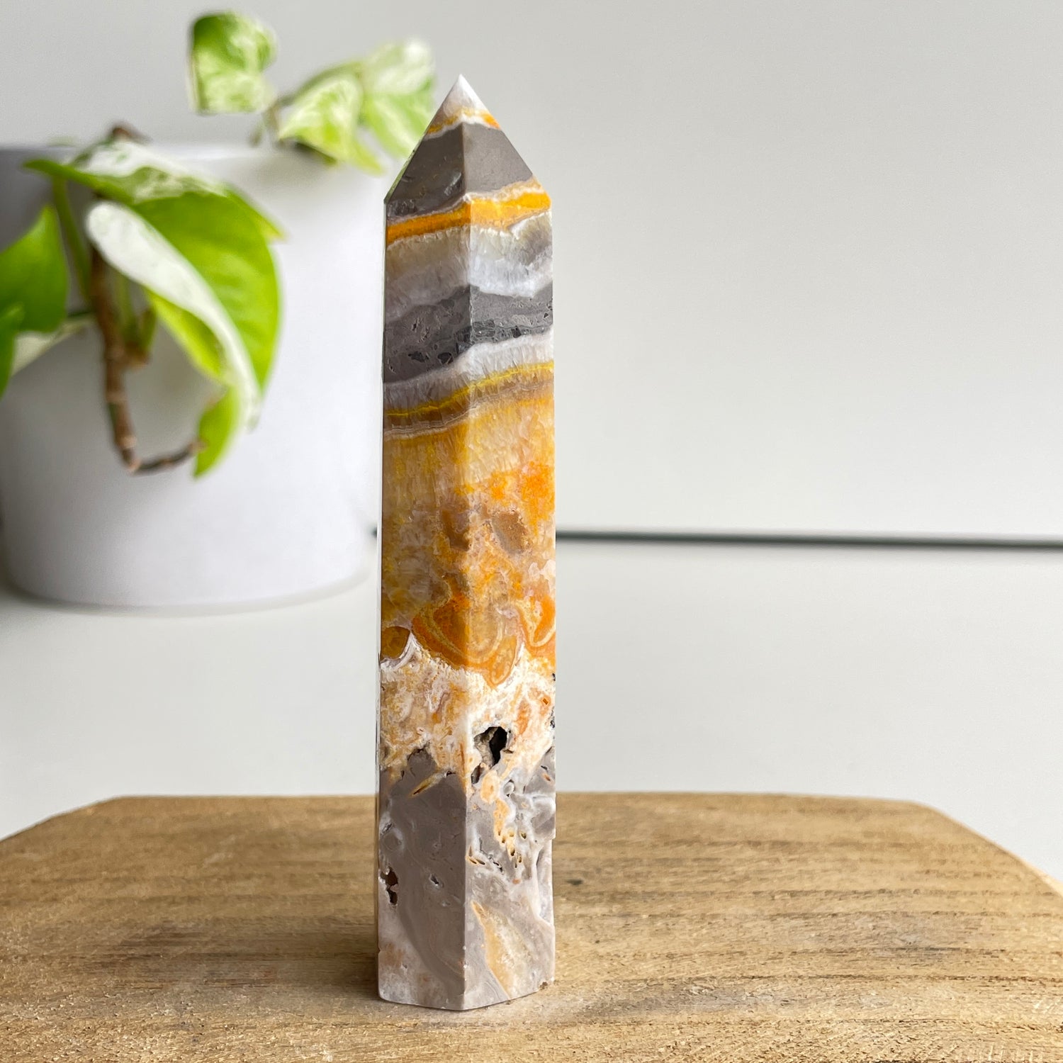 Bumblebee Jasper Generator 10.4cm