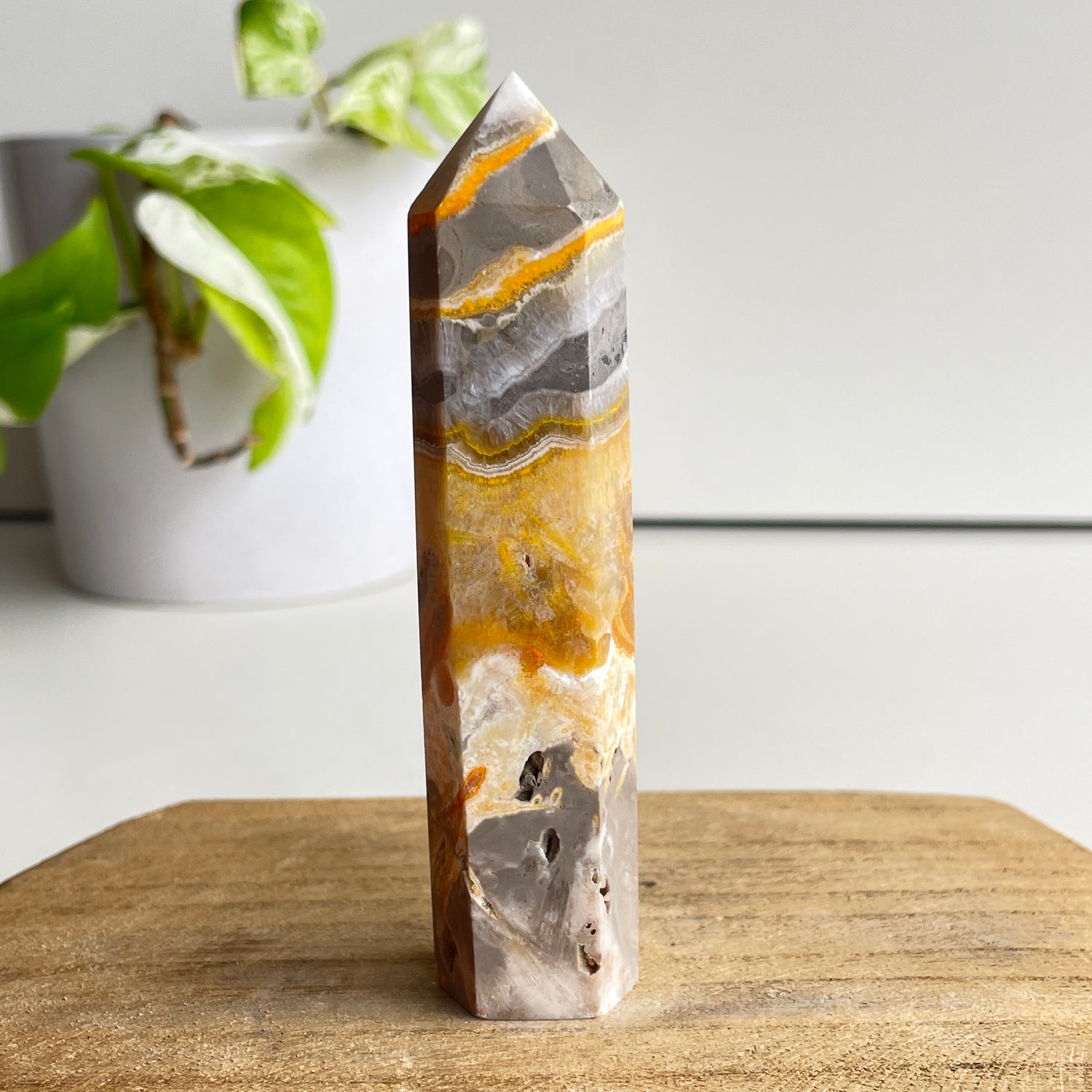 Bumblebee Jasper Generator 10.4cm