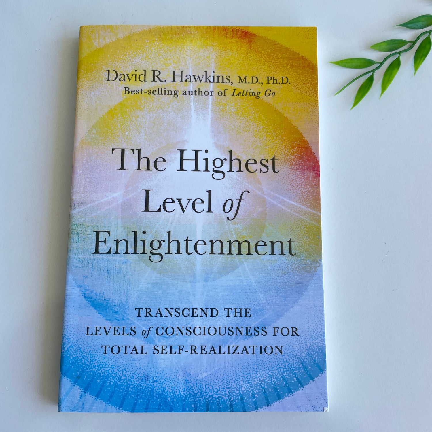 The Highest Level Of Enlightenment David Hawkins