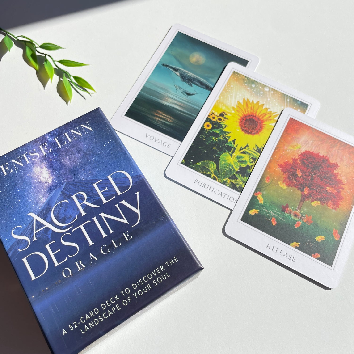 Sacred Destiny Oracle Cards Denise Linn