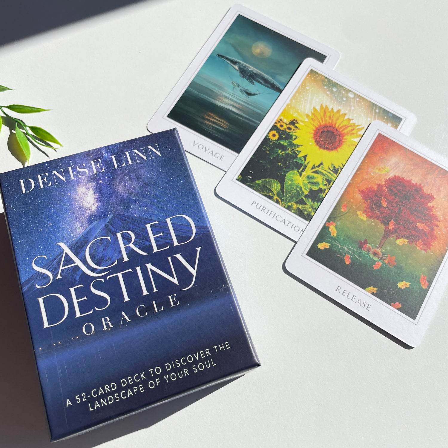 Sacred Destiny Oracle Cards Denise Linn