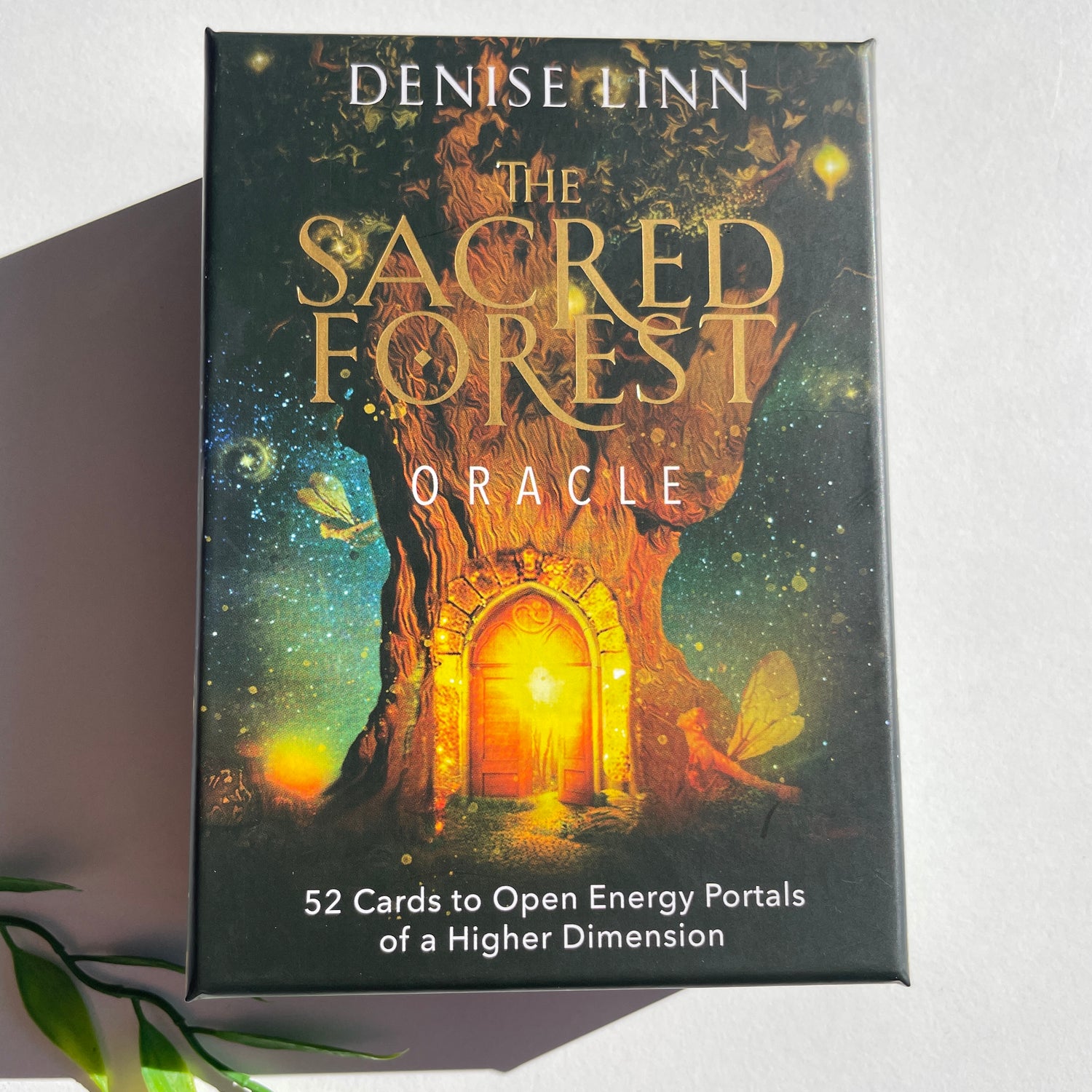 The Sacred Forest Oracle Denise Linn