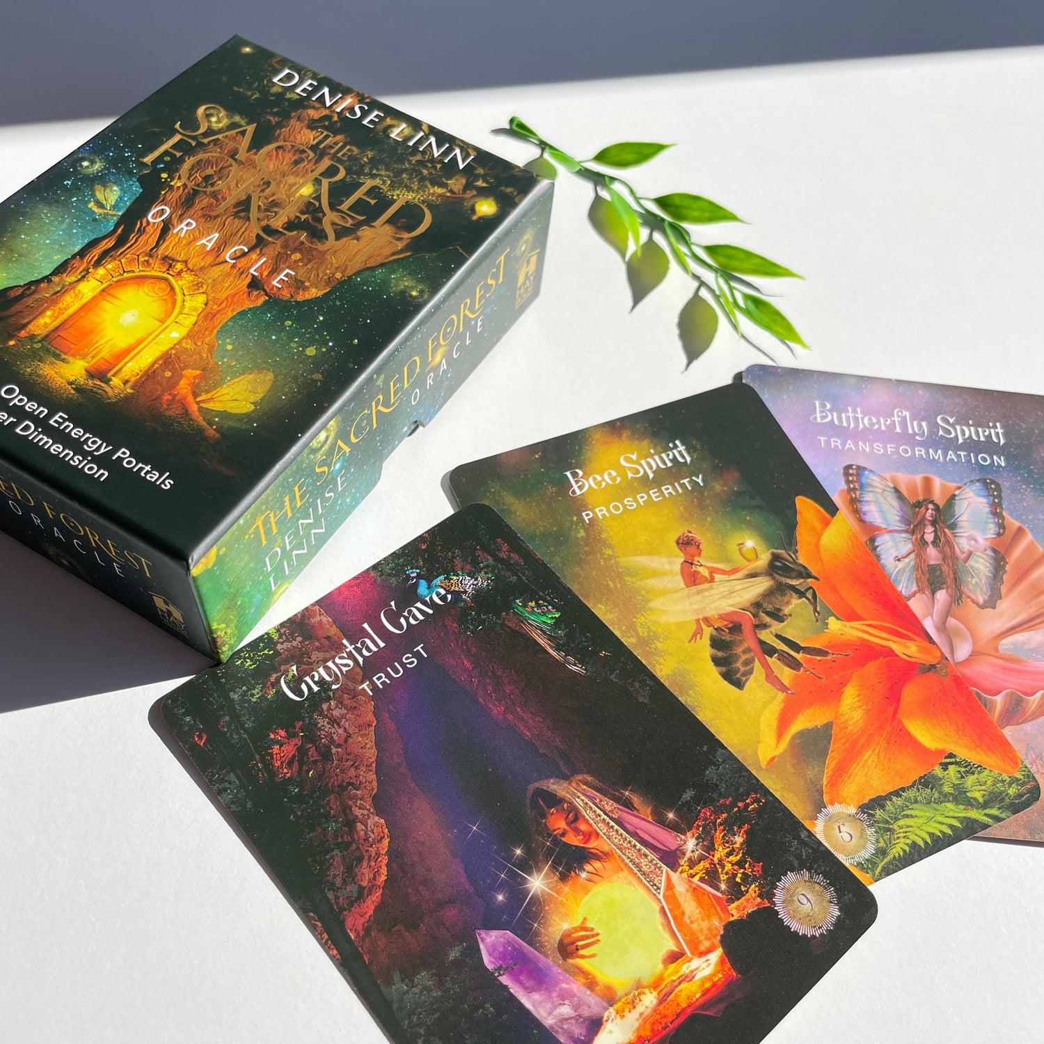 The Sacred Forest Oracle Denise Linn