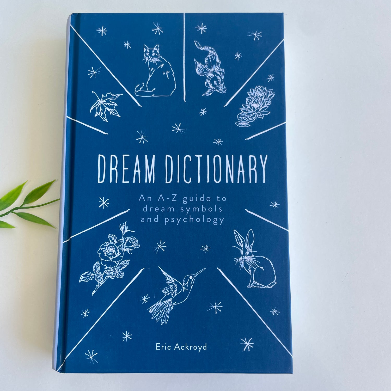 Dream Dictionary Eric Ackroyd
