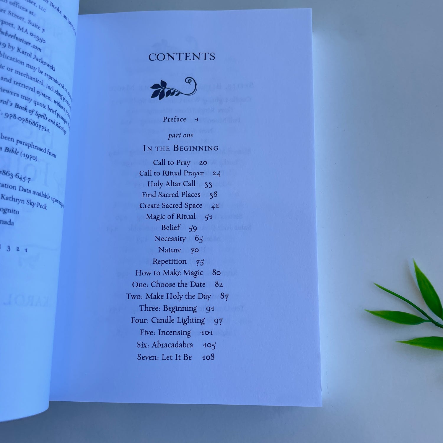Karol Jackowski Book Of Spells Blessings and Folk Magic