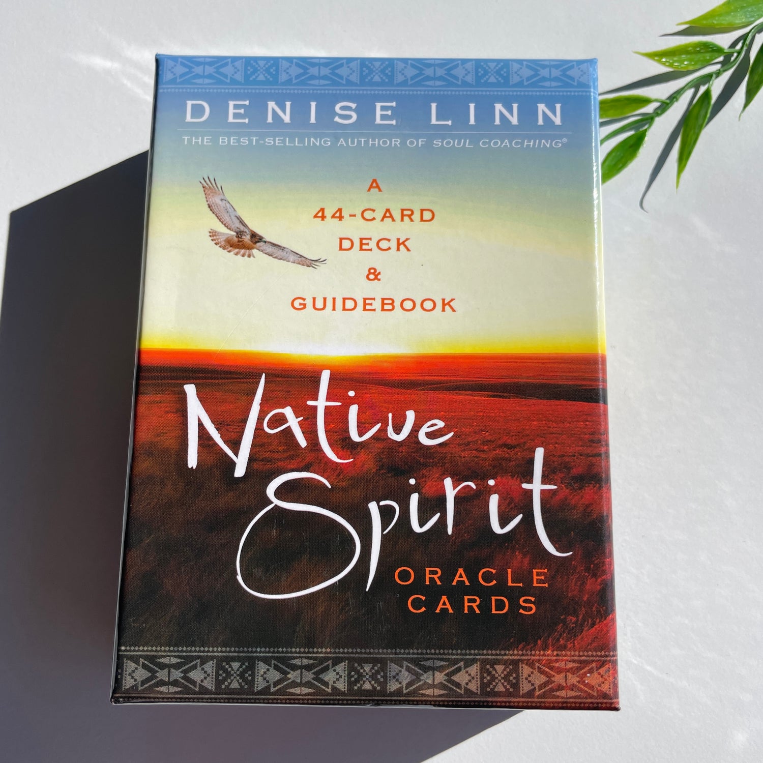Native Spirit Oracle Cards Denise Linn