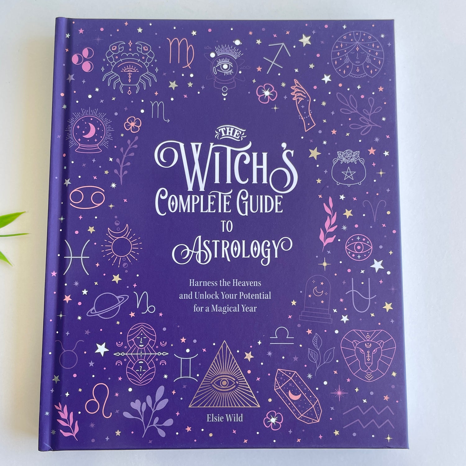 Witchs Complete Guide To Astrology Elsie Wild