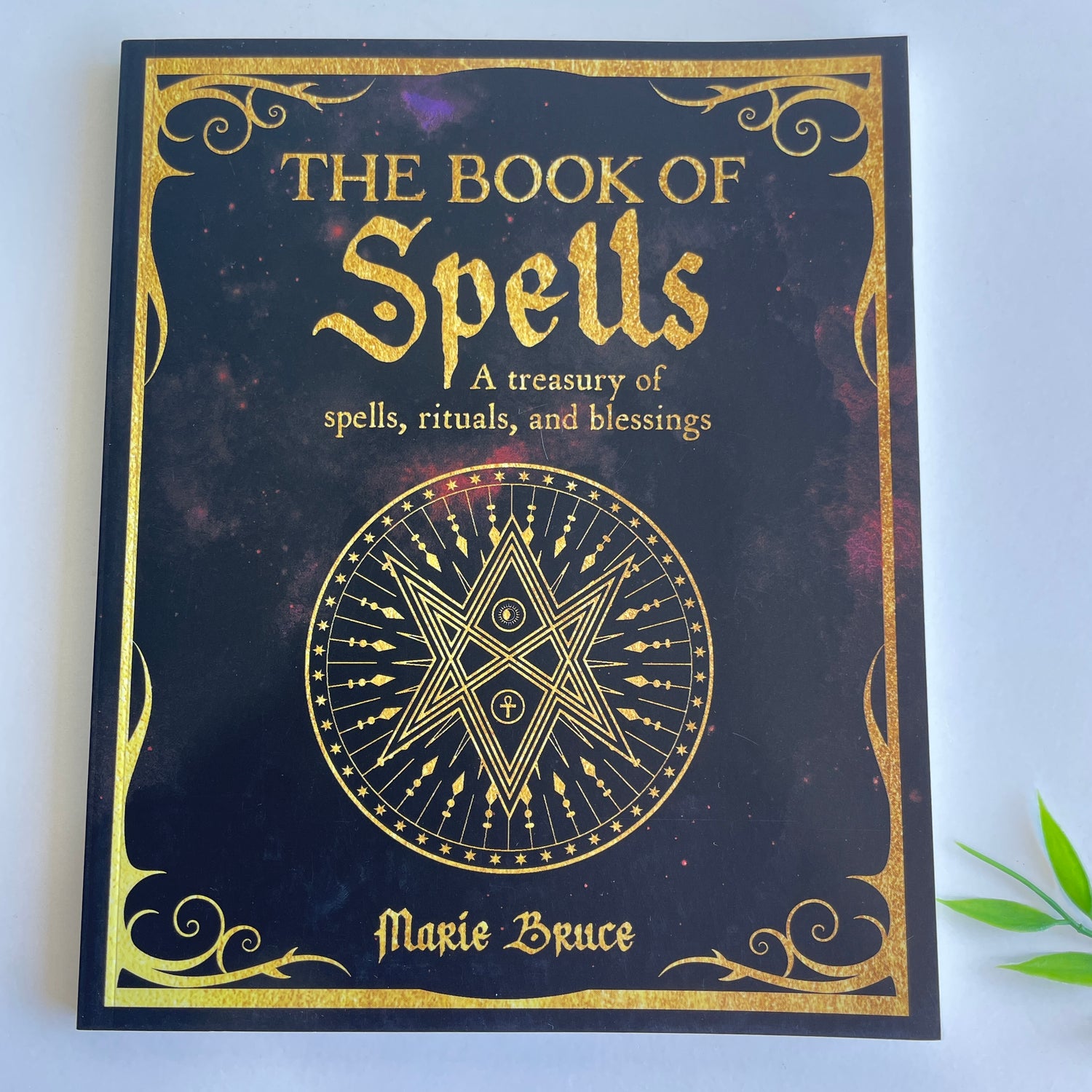 The Book Of Spells Marie Bruce