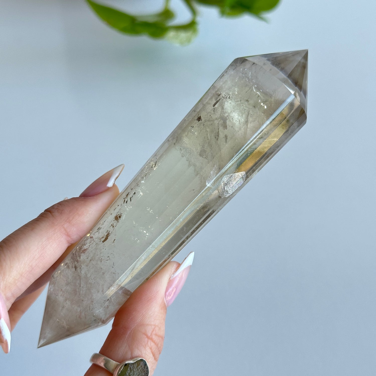Smoky Citrine Vogel 13.2cm