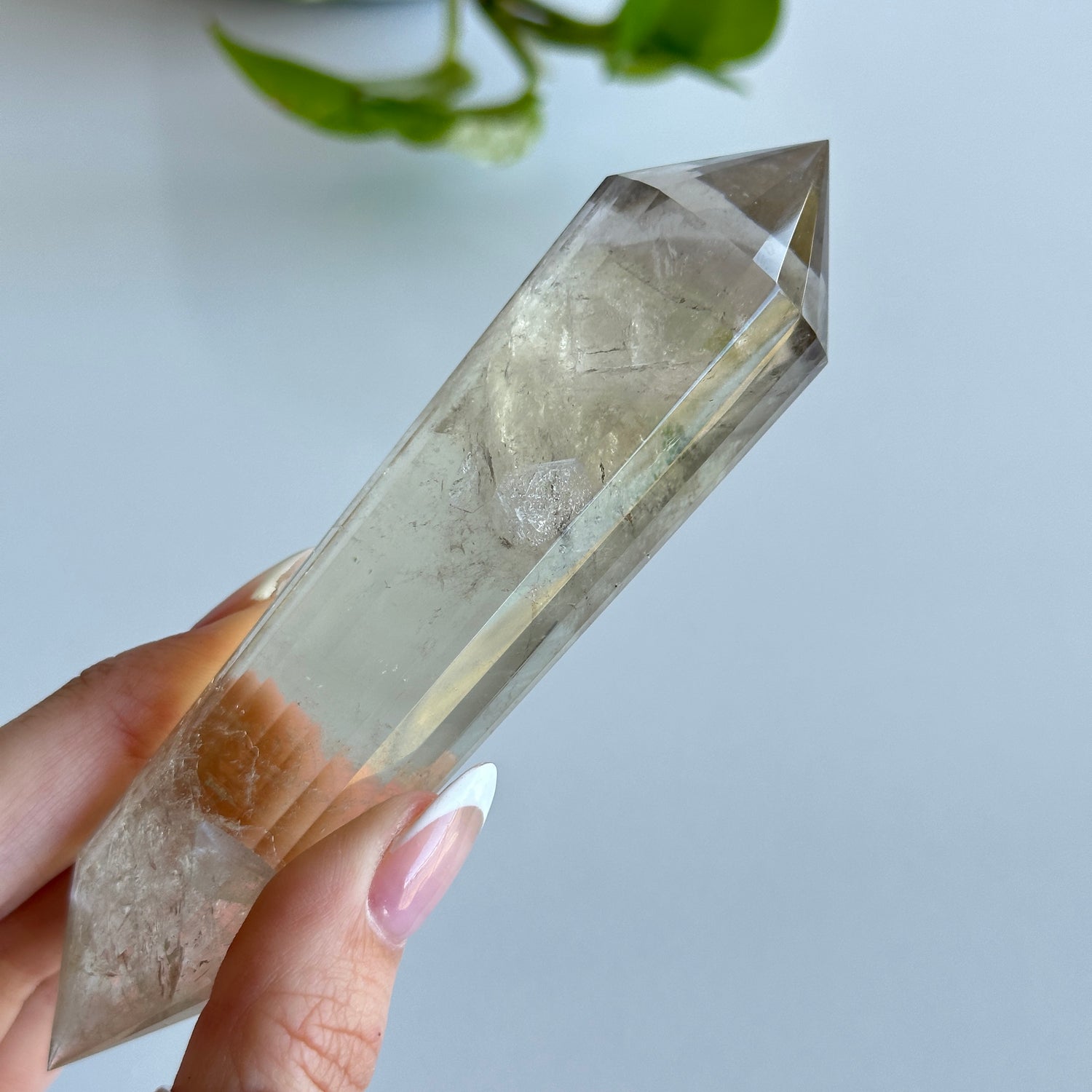 Smoky Citrine Vogel 13.2cm