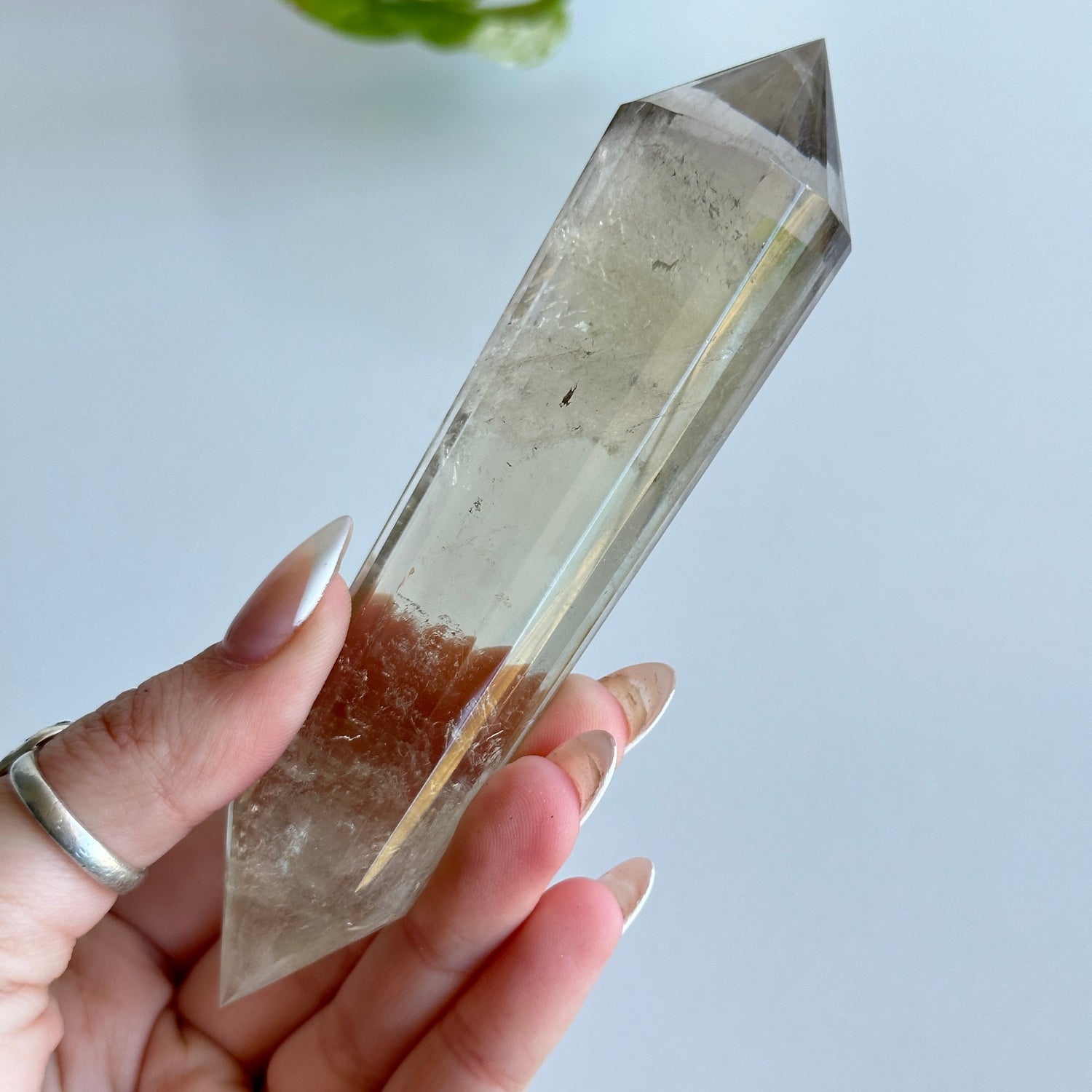 Smoky Citrine Vogel 13.2cm