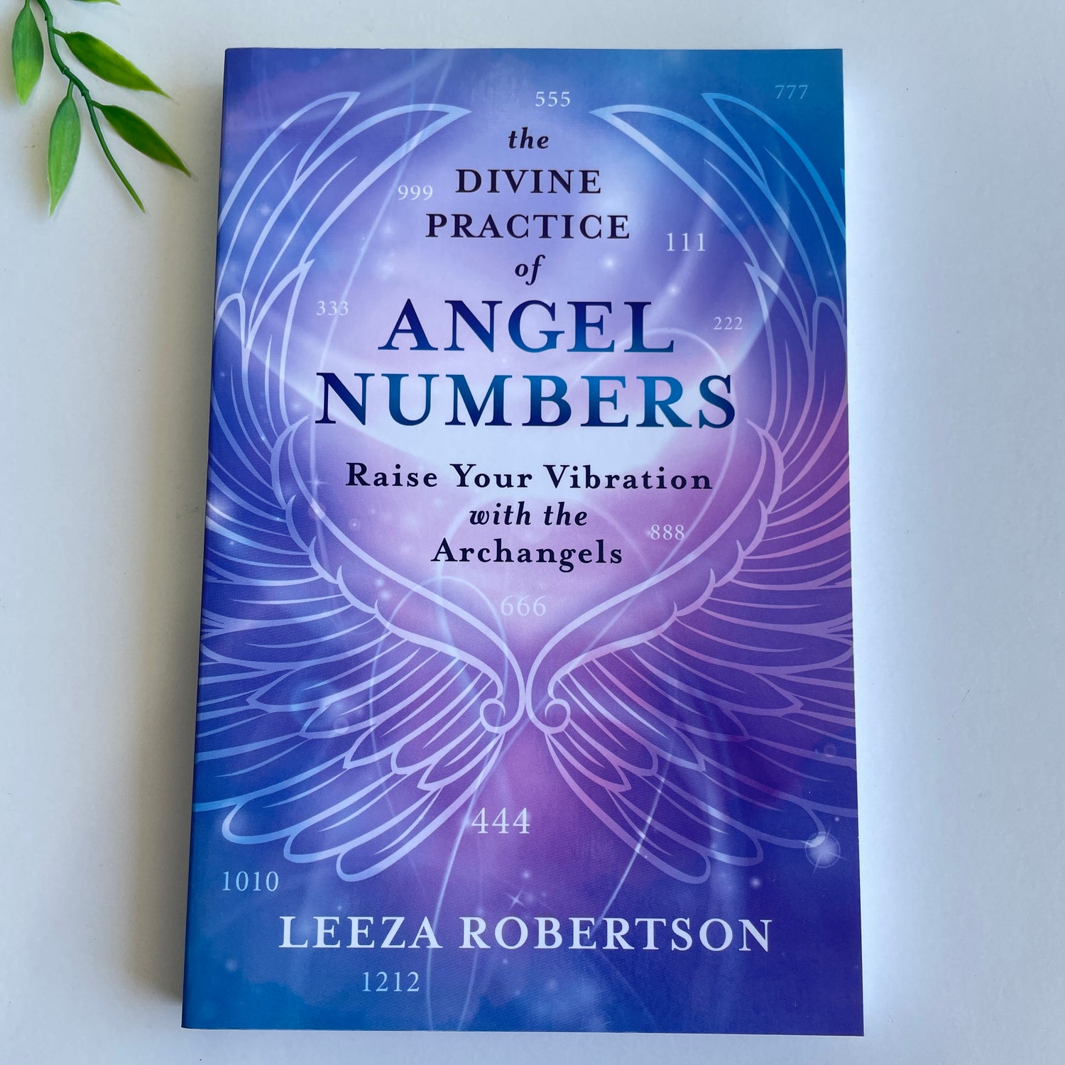 The Divine Practice Of Angel Numbers Leeza Robertson