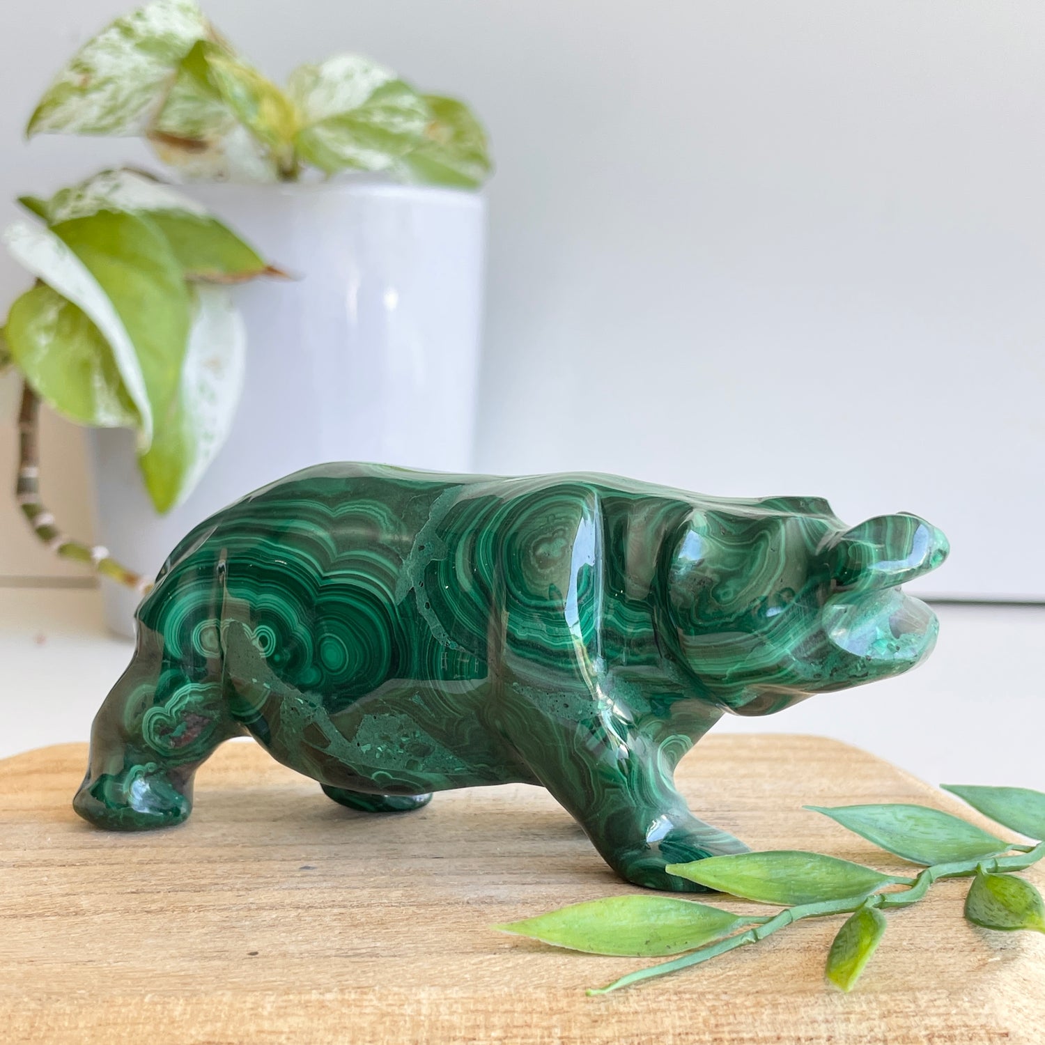 Malachite Hippo