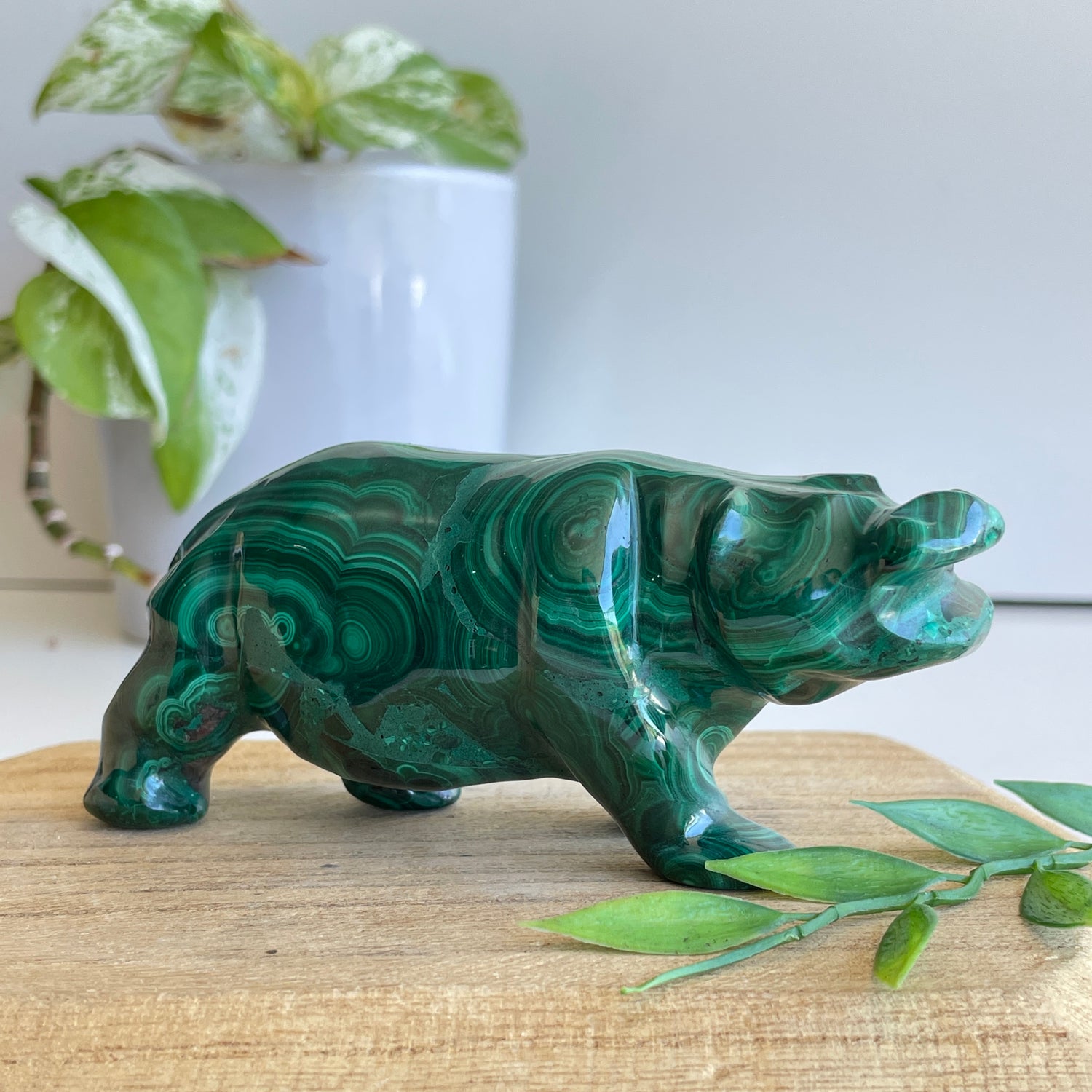 Malachite Hippo