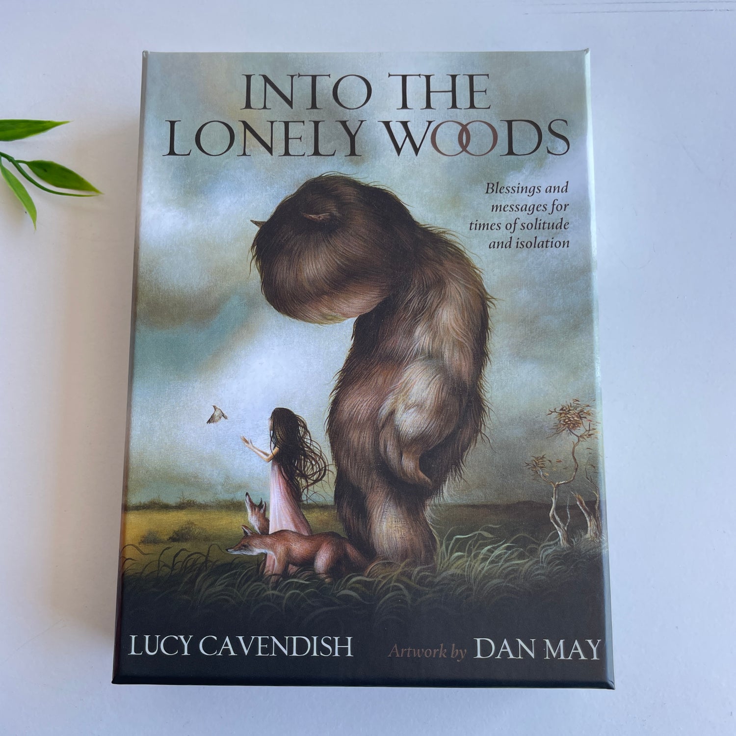 Into The Lonely Woods Oracle Cards Lucy Cavendish