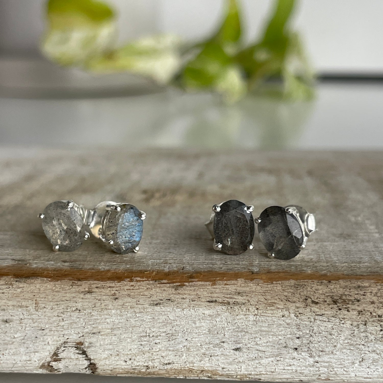 Labradorite Oval Studs