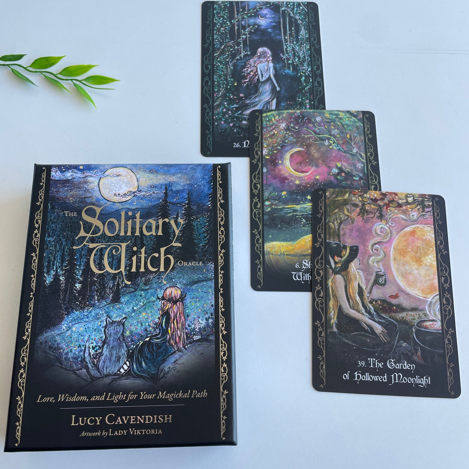 Solitary Witch Lucy Cavendish