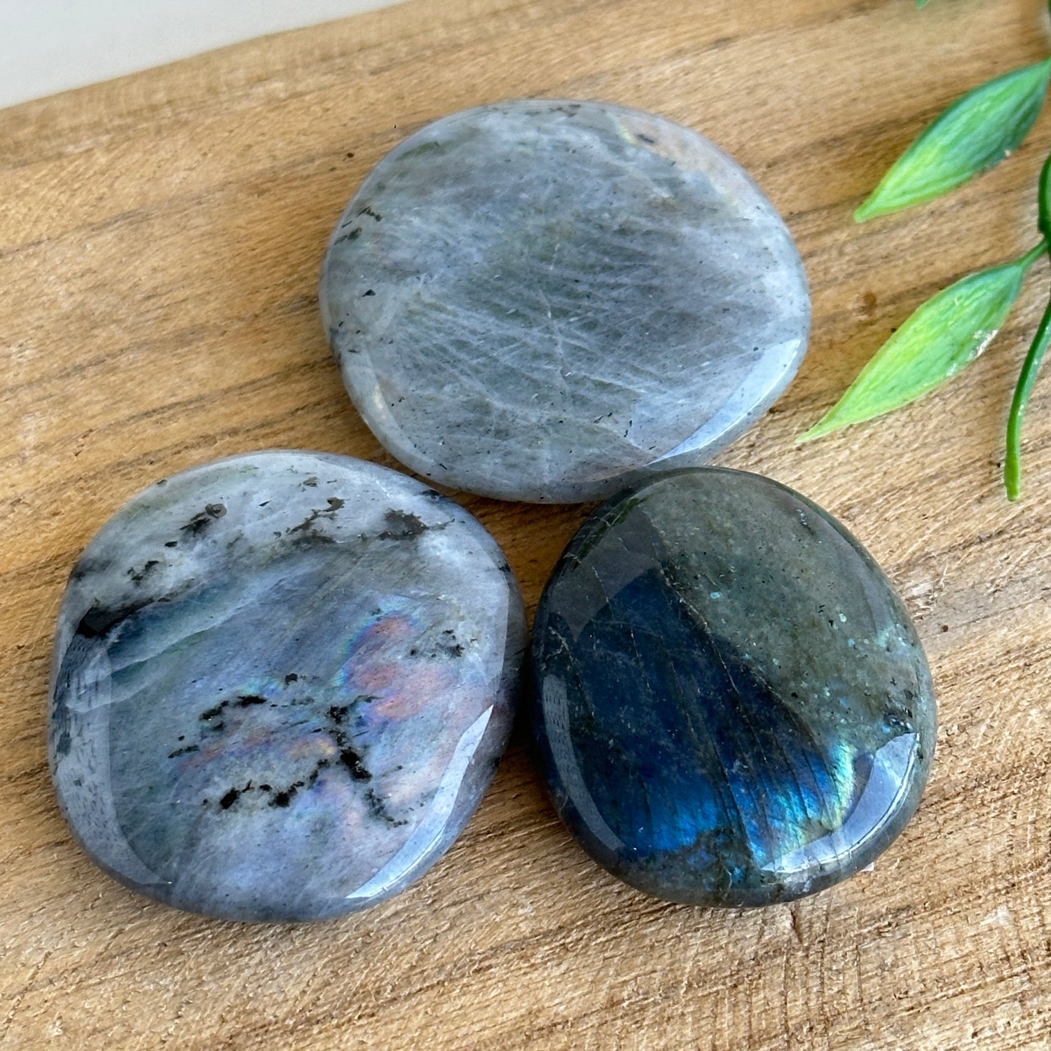 Labradorite Flat Stone XL Bra Buddy