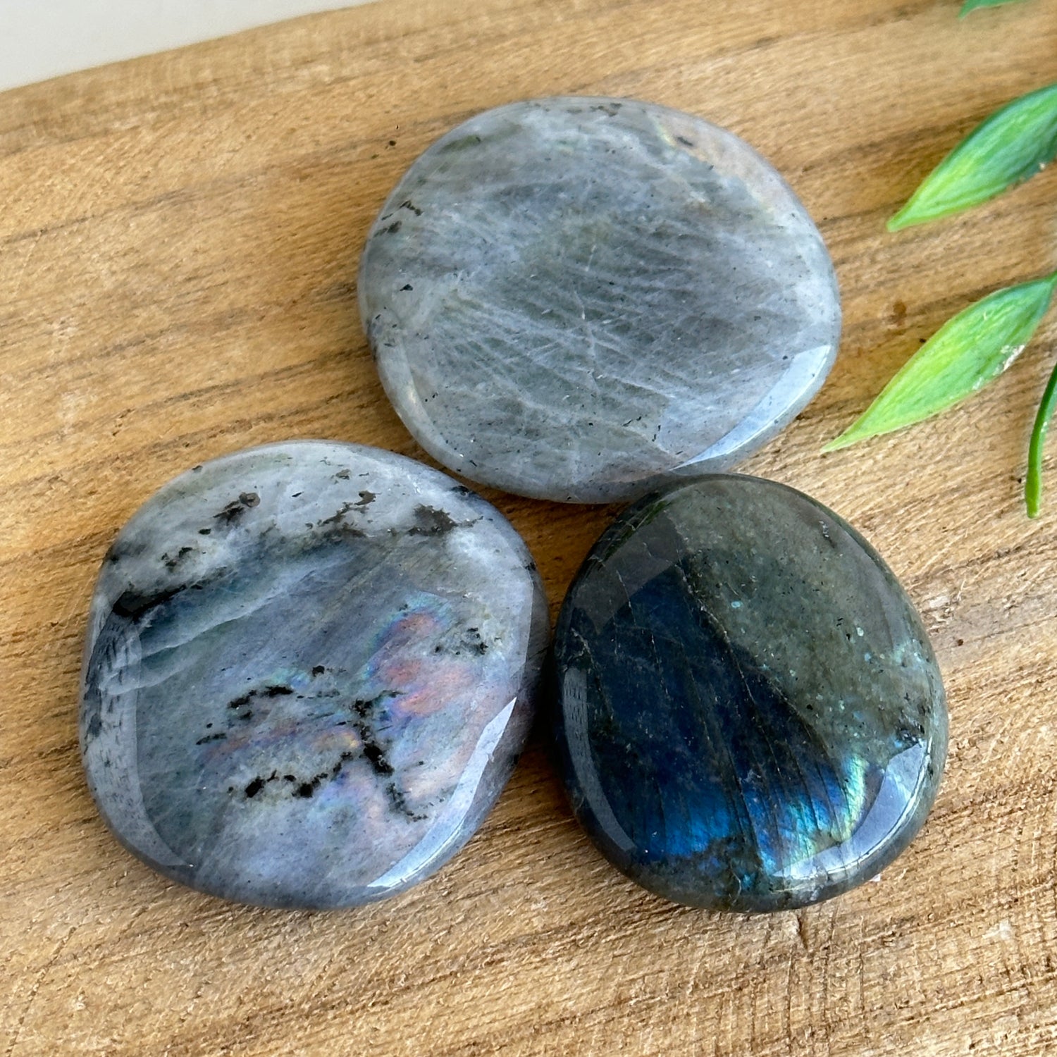 Labradorite Flat Stone XL Bra Buddy