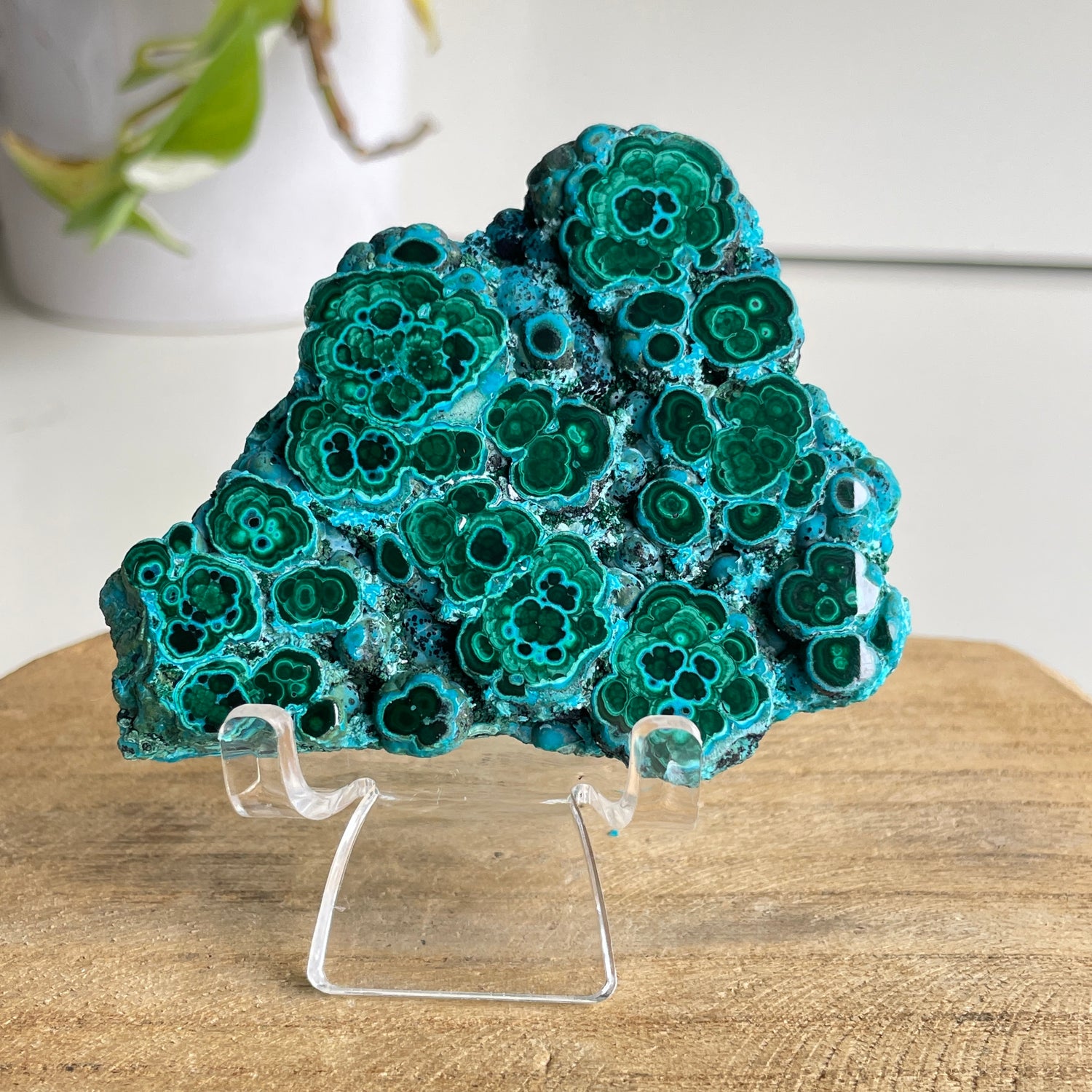 Malachite & Chrysocolla Pce 160g