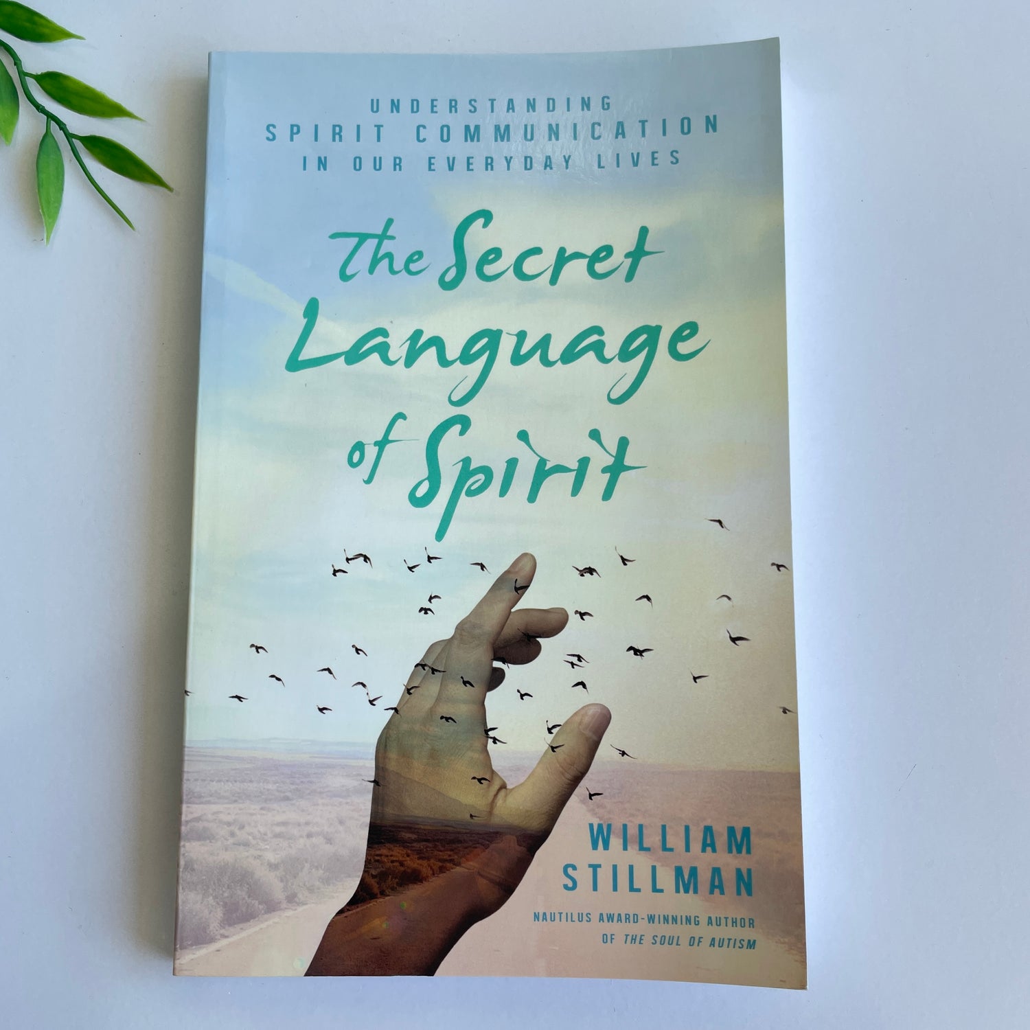 The Secret Language Of Spirit William Stillman